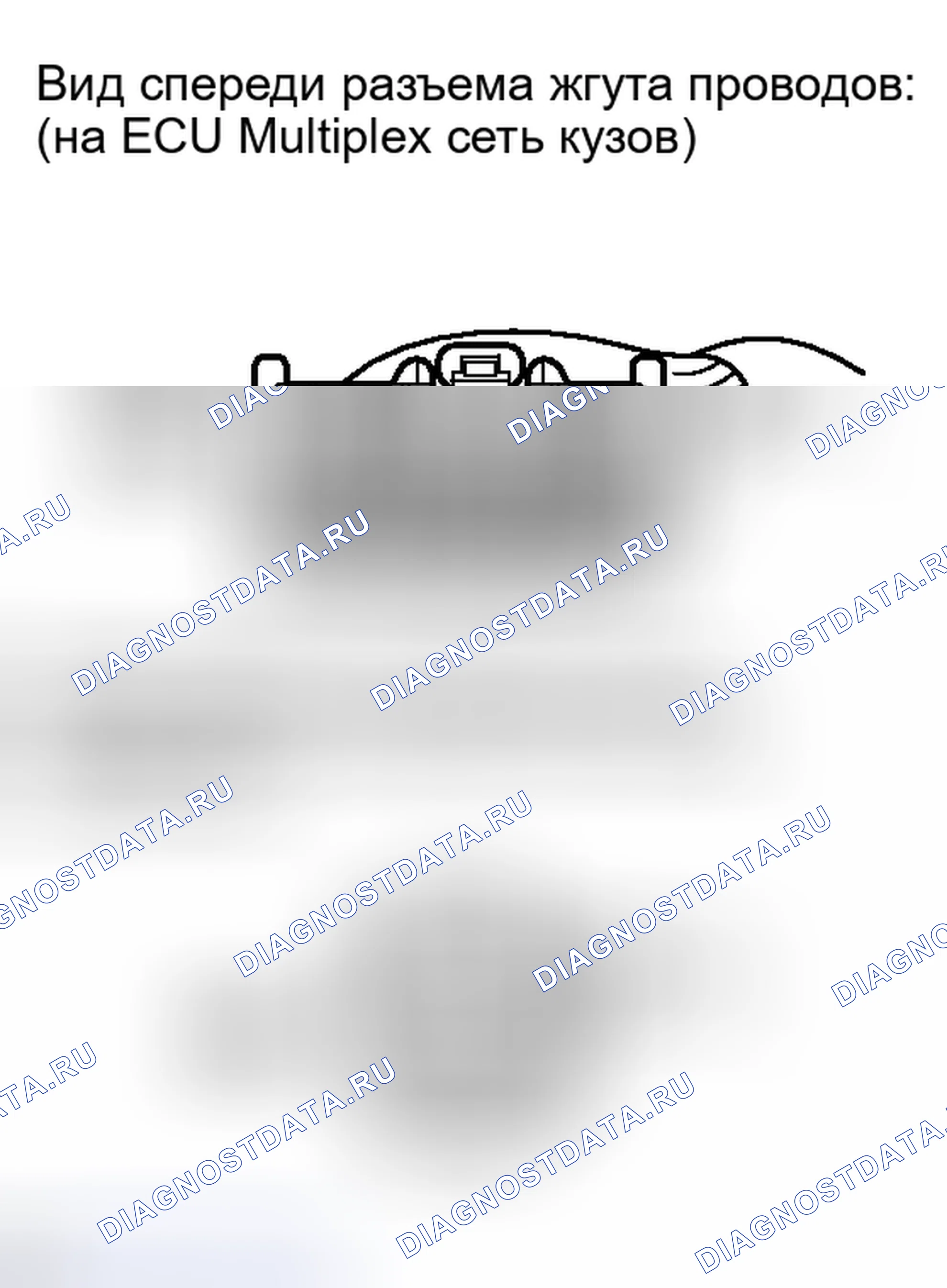 Рис. 314. Lexus IS F I