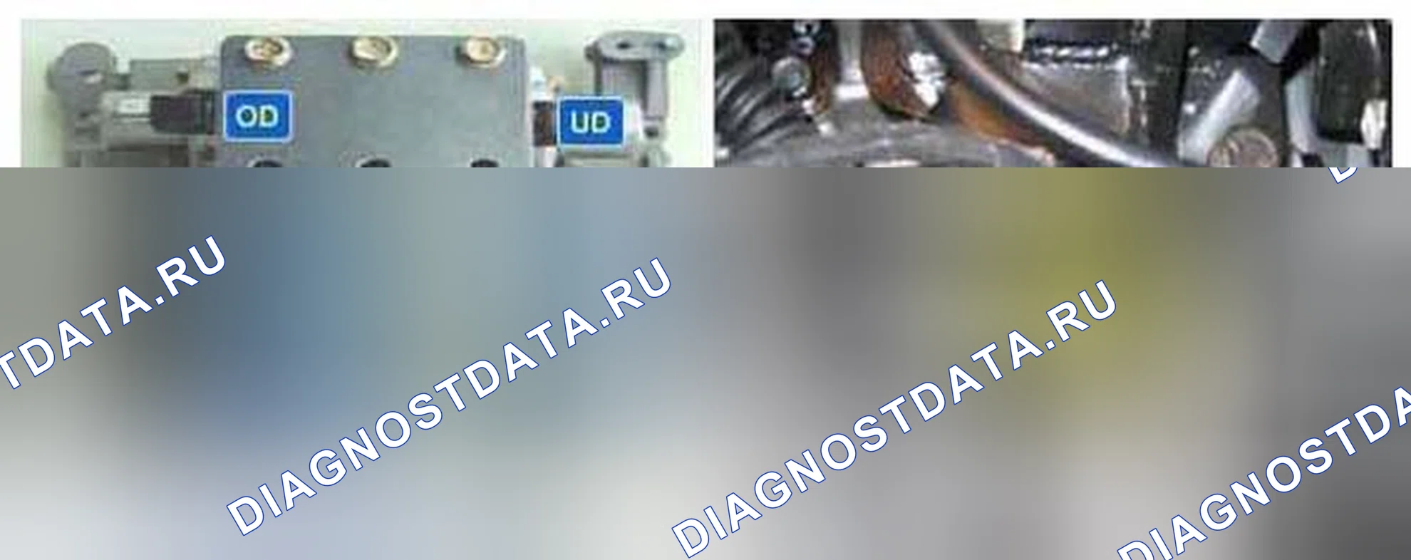 Рис. 364: Расположение компонентов. Kia Magentis II рестайлинг