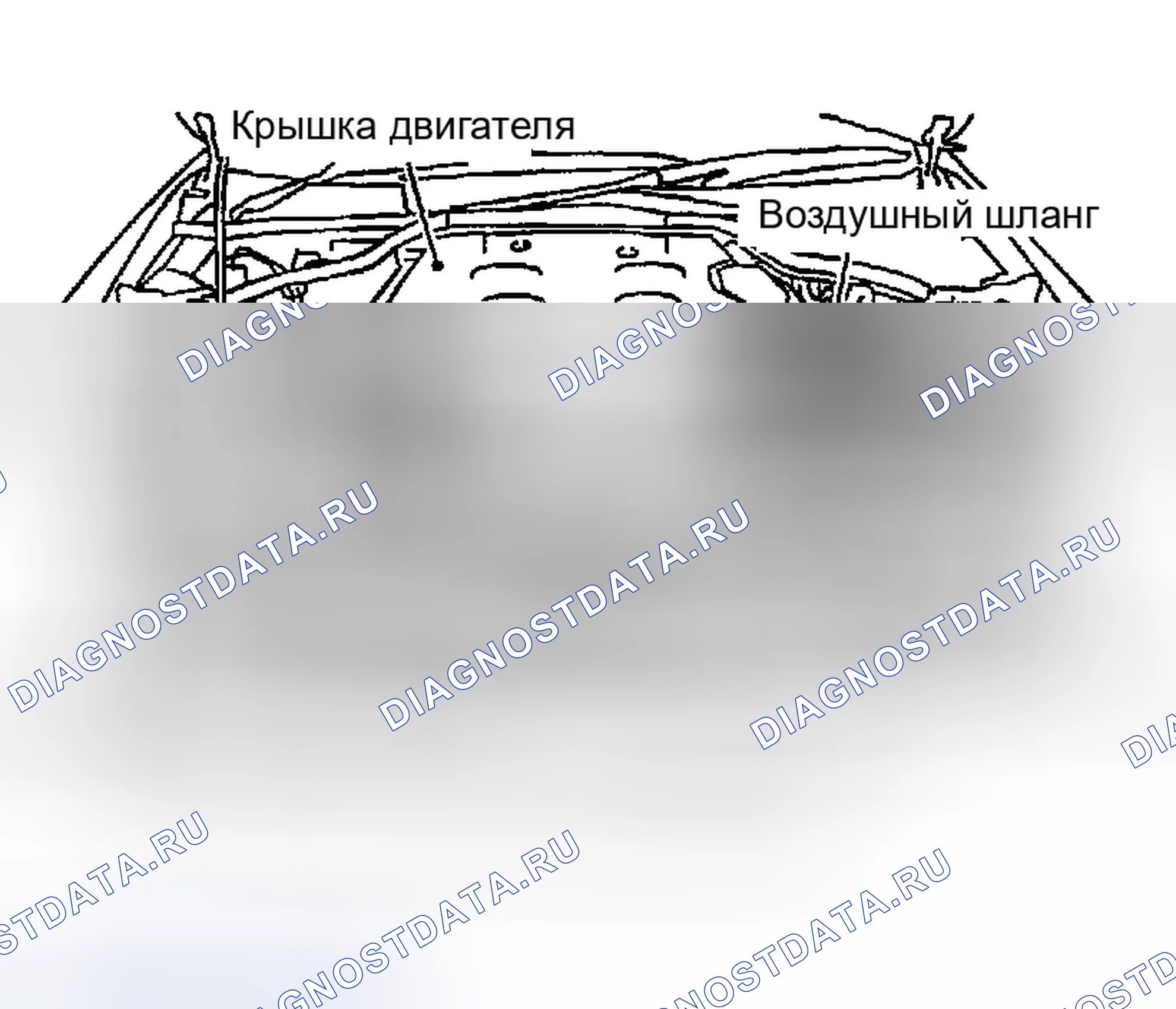 Рис. 924: ДЕМОНТАЖ. Infiniti G35 III
