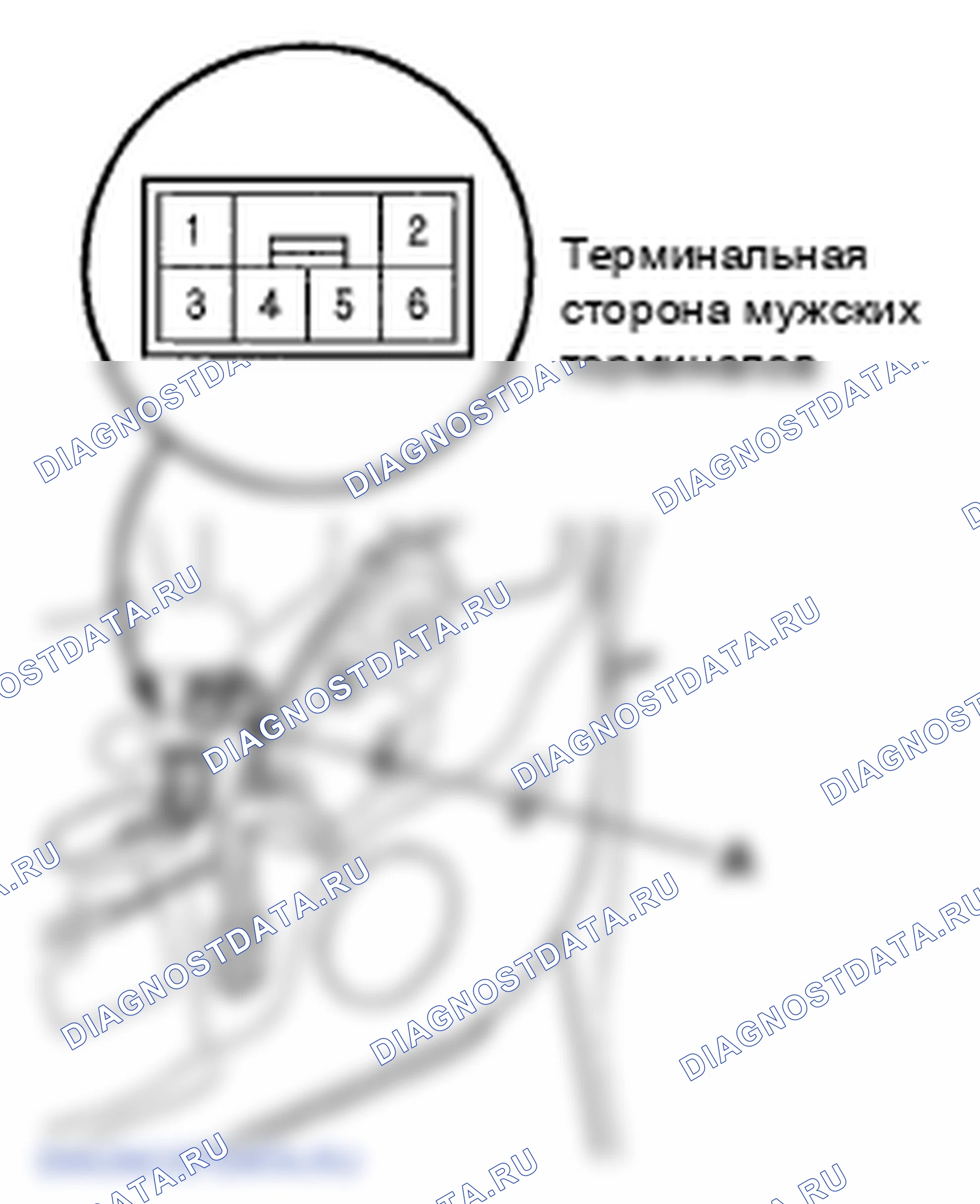 Рис. 5: Испытание двигателя. Honda Element YH2 рестайлинг 2