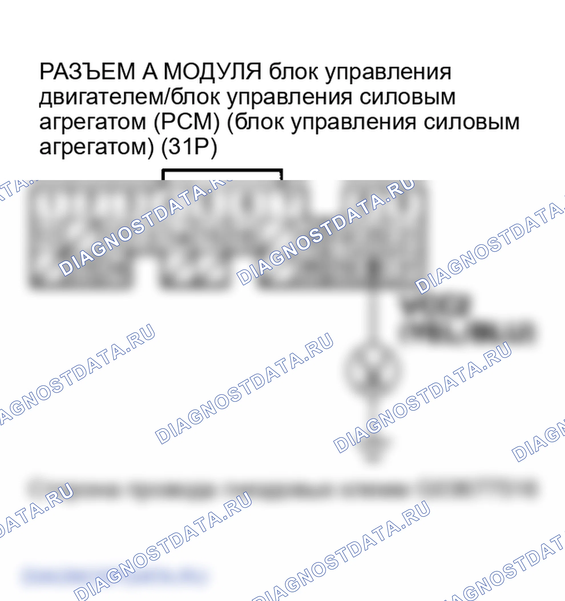 Рис. 81. Honda Element YH2
