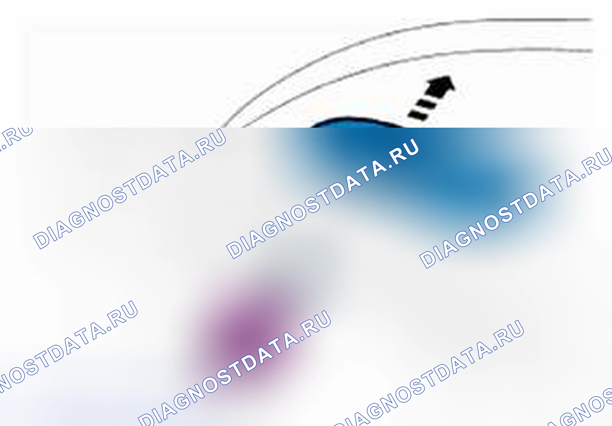 Рис. 3: ДЕМОНТАЖ. Land Rover Range Rover Sport I