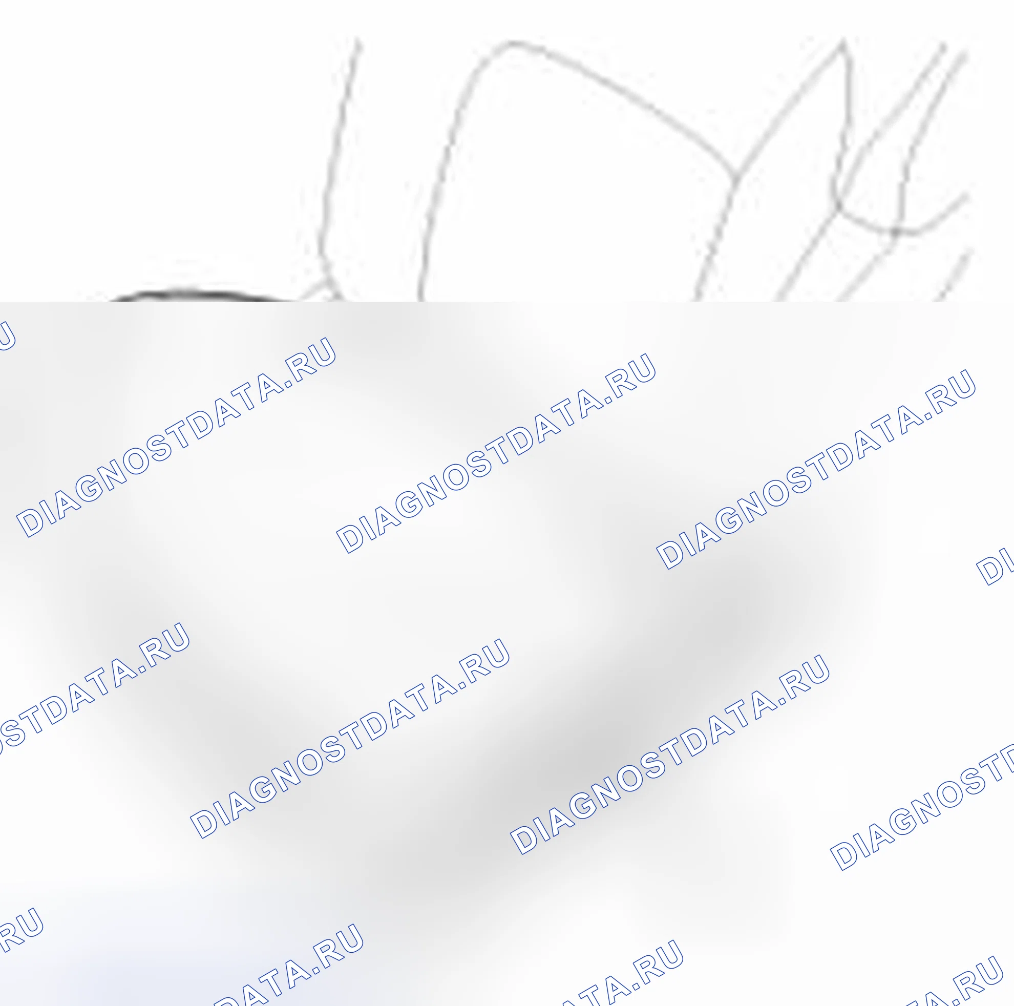 Рис. 20. Haval Beast (Shenshou) I