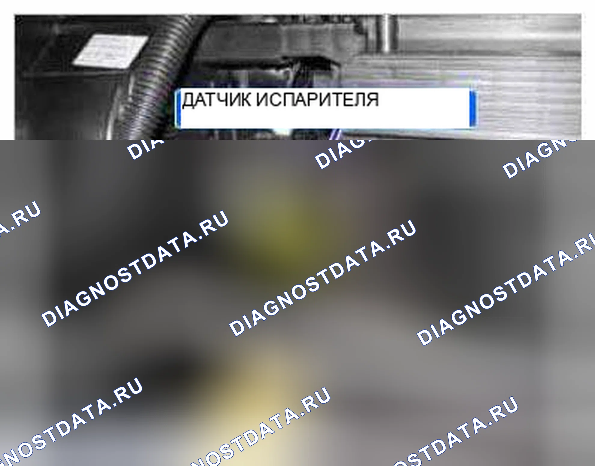 Рис. 288: Расположение компонентов. Kia Optima III