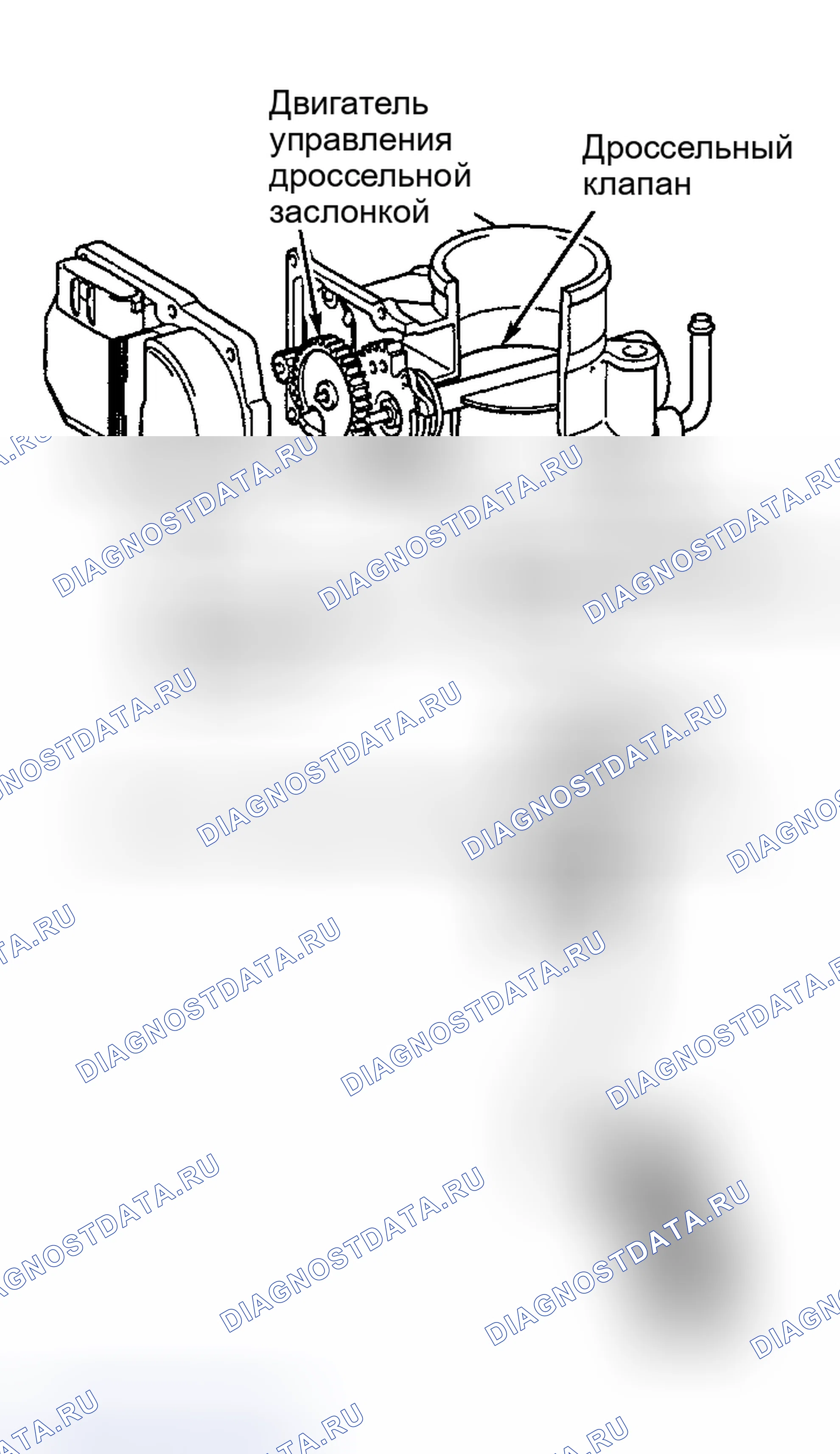 Рис. 10: Camry 2.4L 4-Cyl. (Включая PZEV) и Camry Solara 2.4L 4-Cyl., Land Cruiser, Sequoia, Tundra 4.7L V8. Toyota Camry XV30