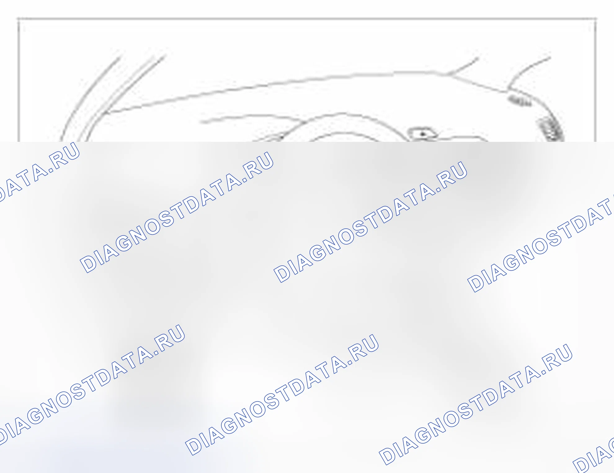 Рис. 72: Сохранение кода смарт-ключа. BMW 6 серия F06/F13/F12