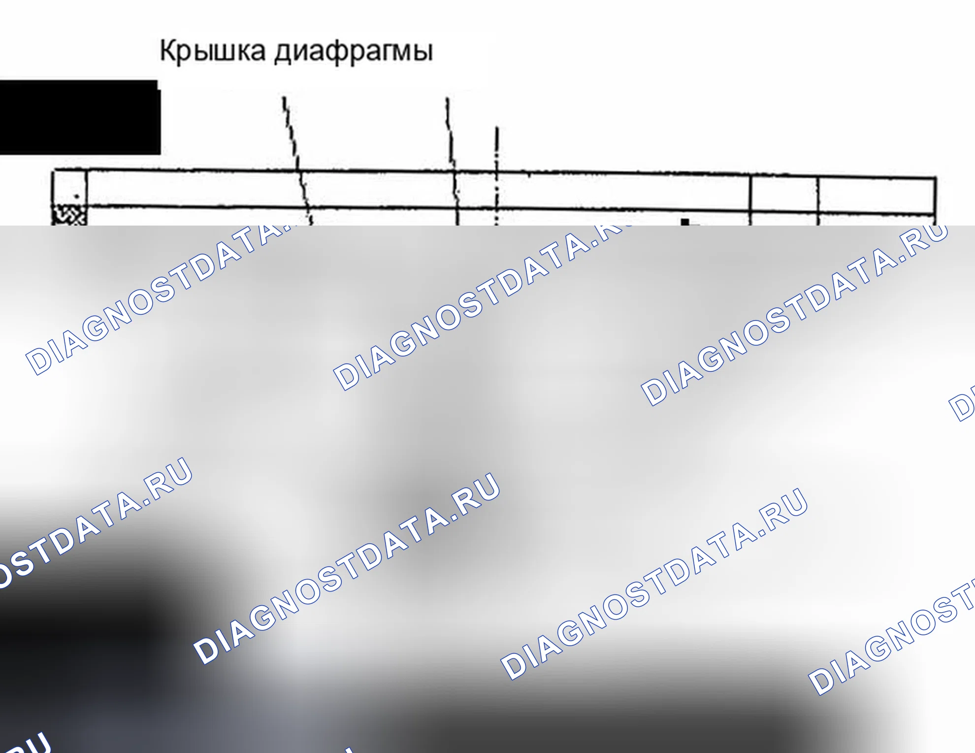 Рис. 12: ПРОВЕРКА мультимедиа. Hyundai Azera I