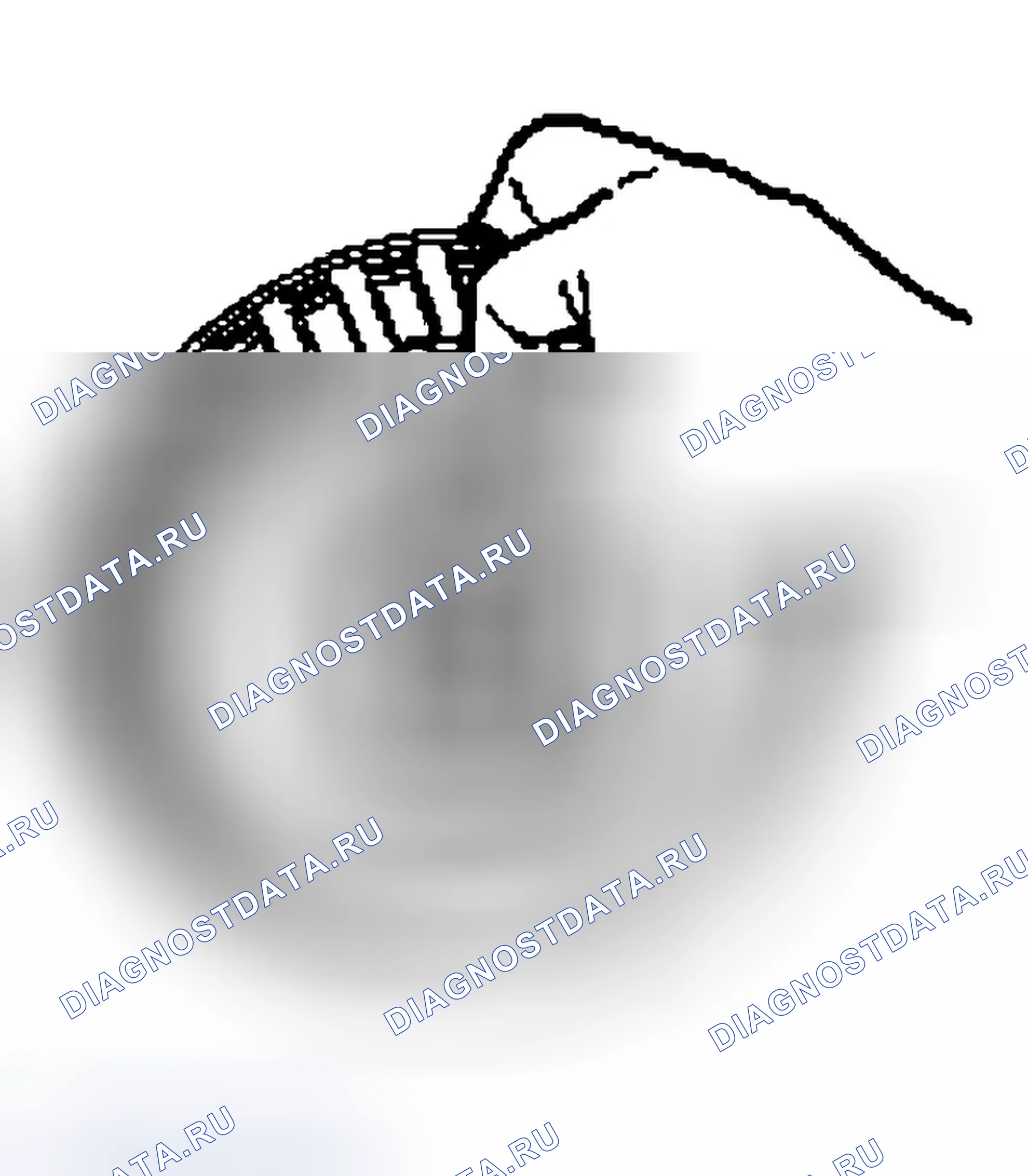Рис. 624: Сборка. Ford Pickup F150 