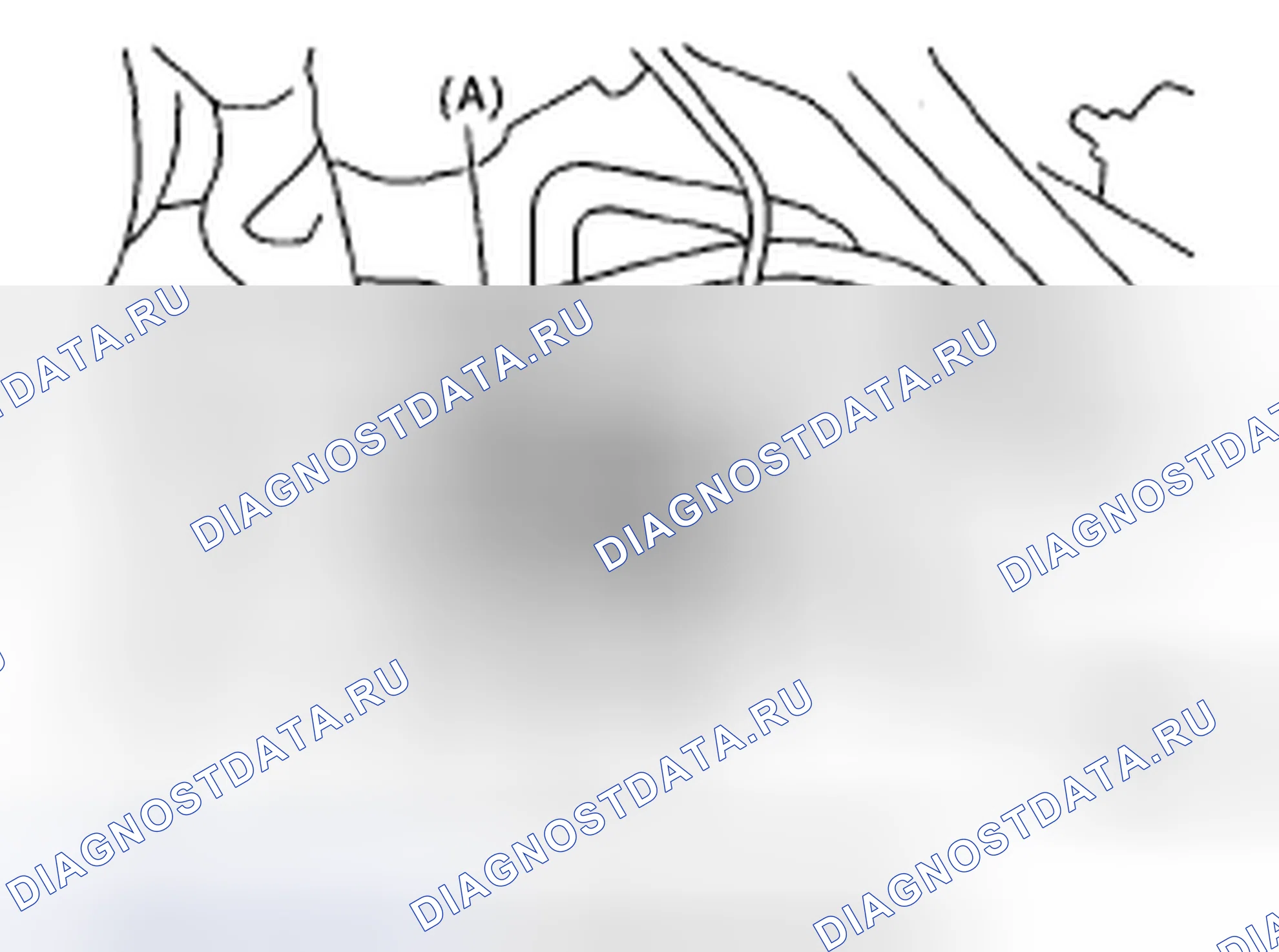 Рис. 99. Subaru Impreza WRX STI GD рестайлинг 2