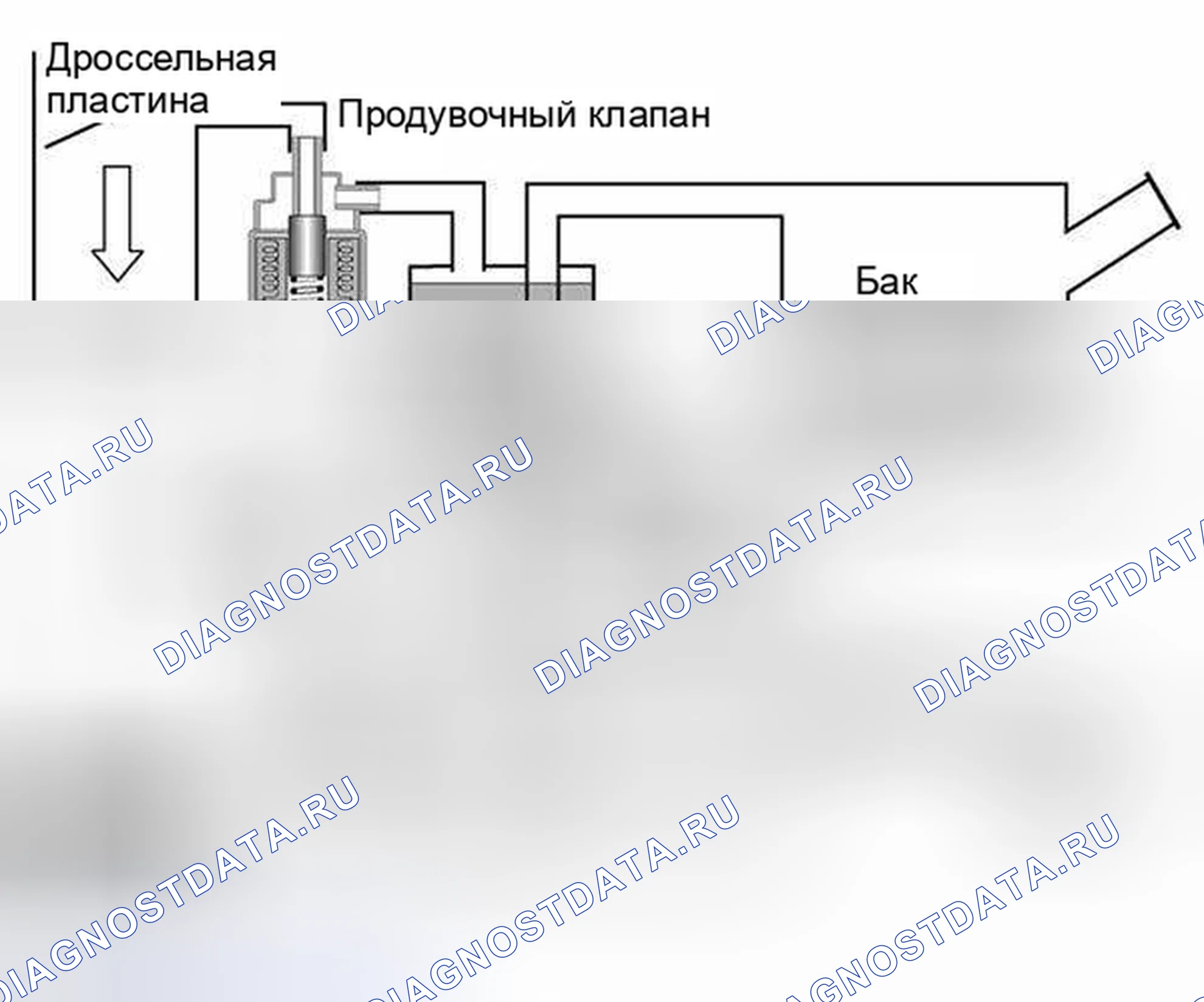 Рис. 51: Этап 2 - обнаружение утечек. BMW M5 E39