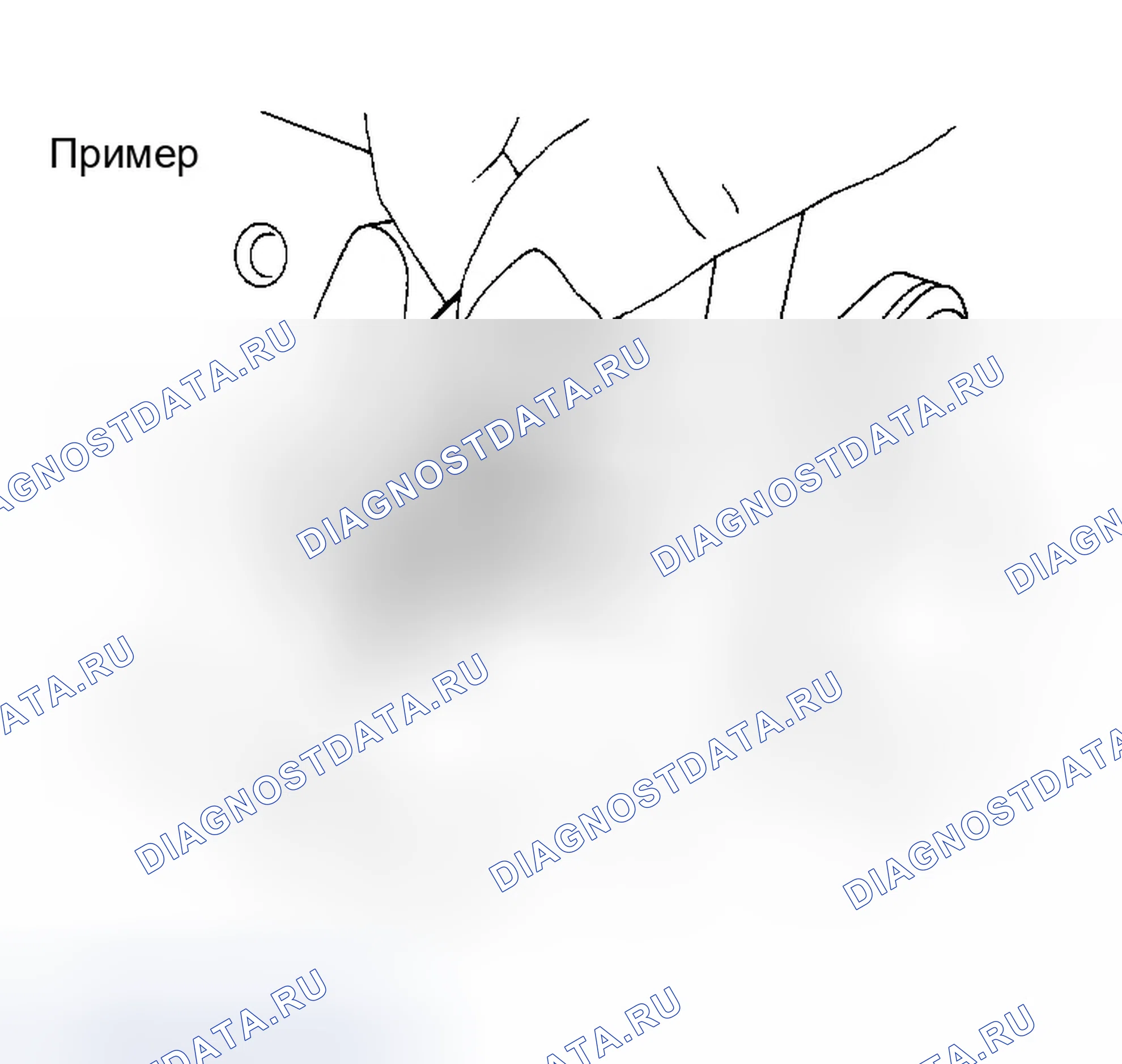 Рис. 1069: Способ использования Plastigage. Infiniti G35 III