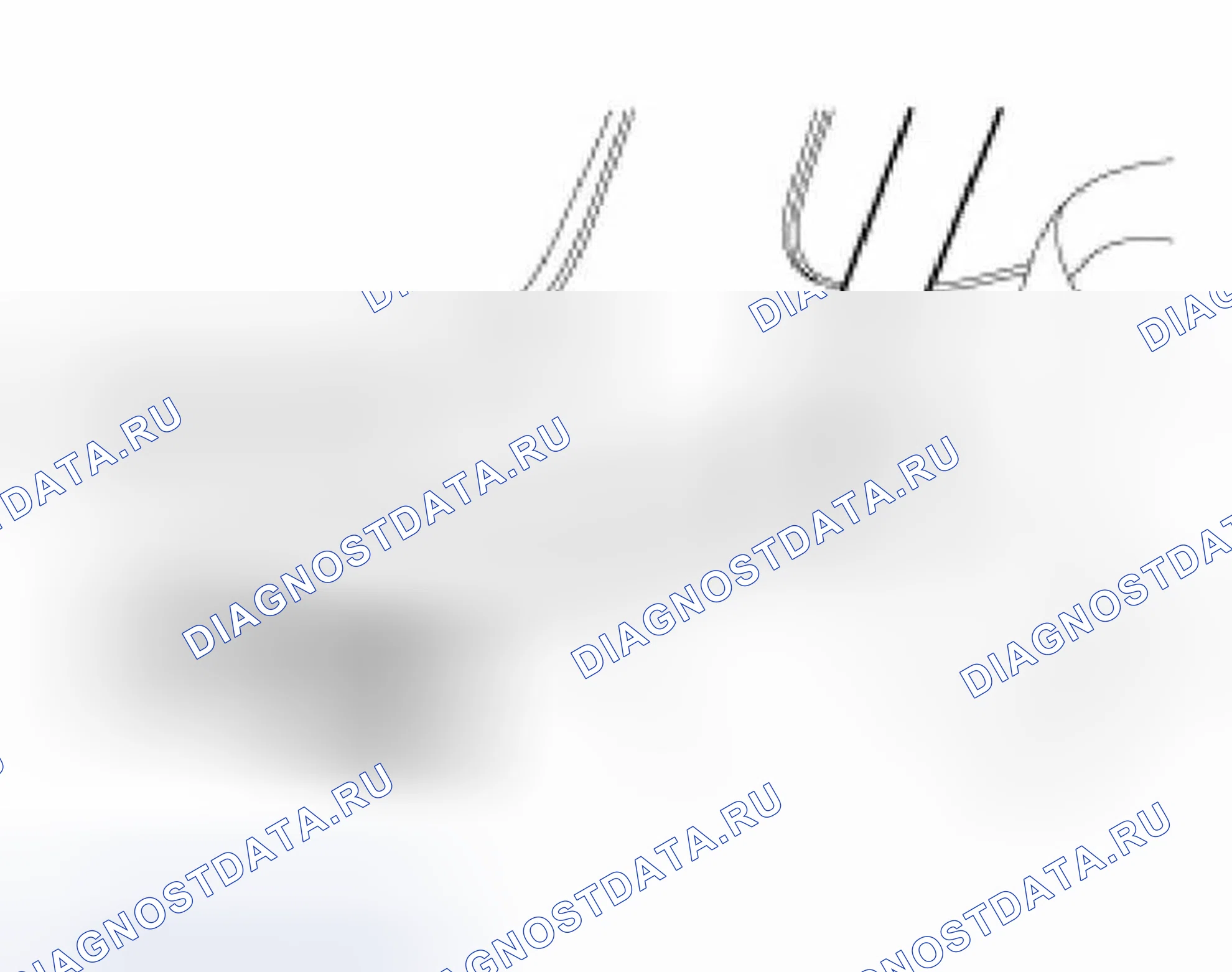 Рис. 6. Ford Focus I рестайлинг