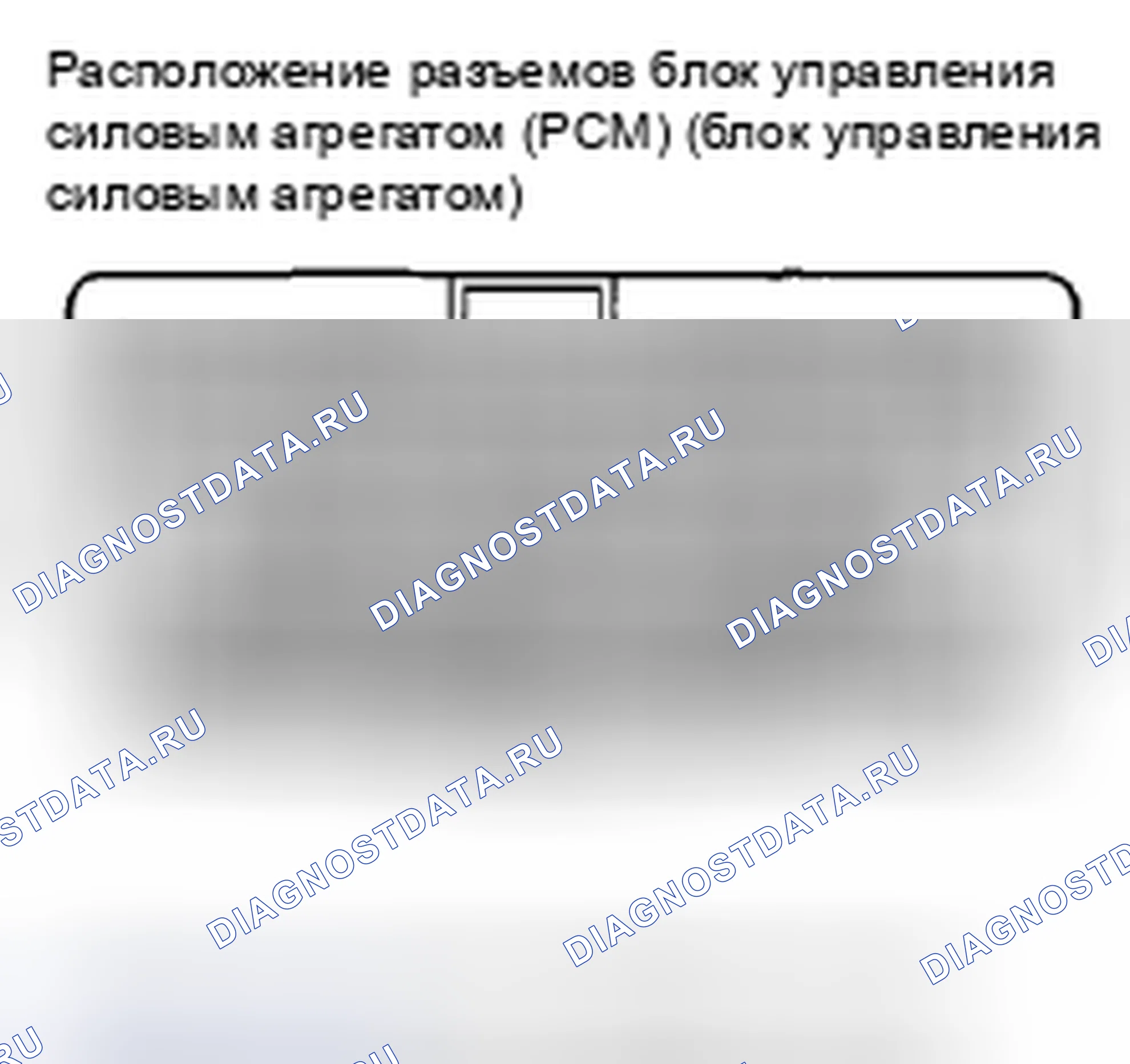 Рис. 302: Входы и выходы ИКМ разъема B (треугольник) (49P). Honda Insight ZE2 рестайлинг