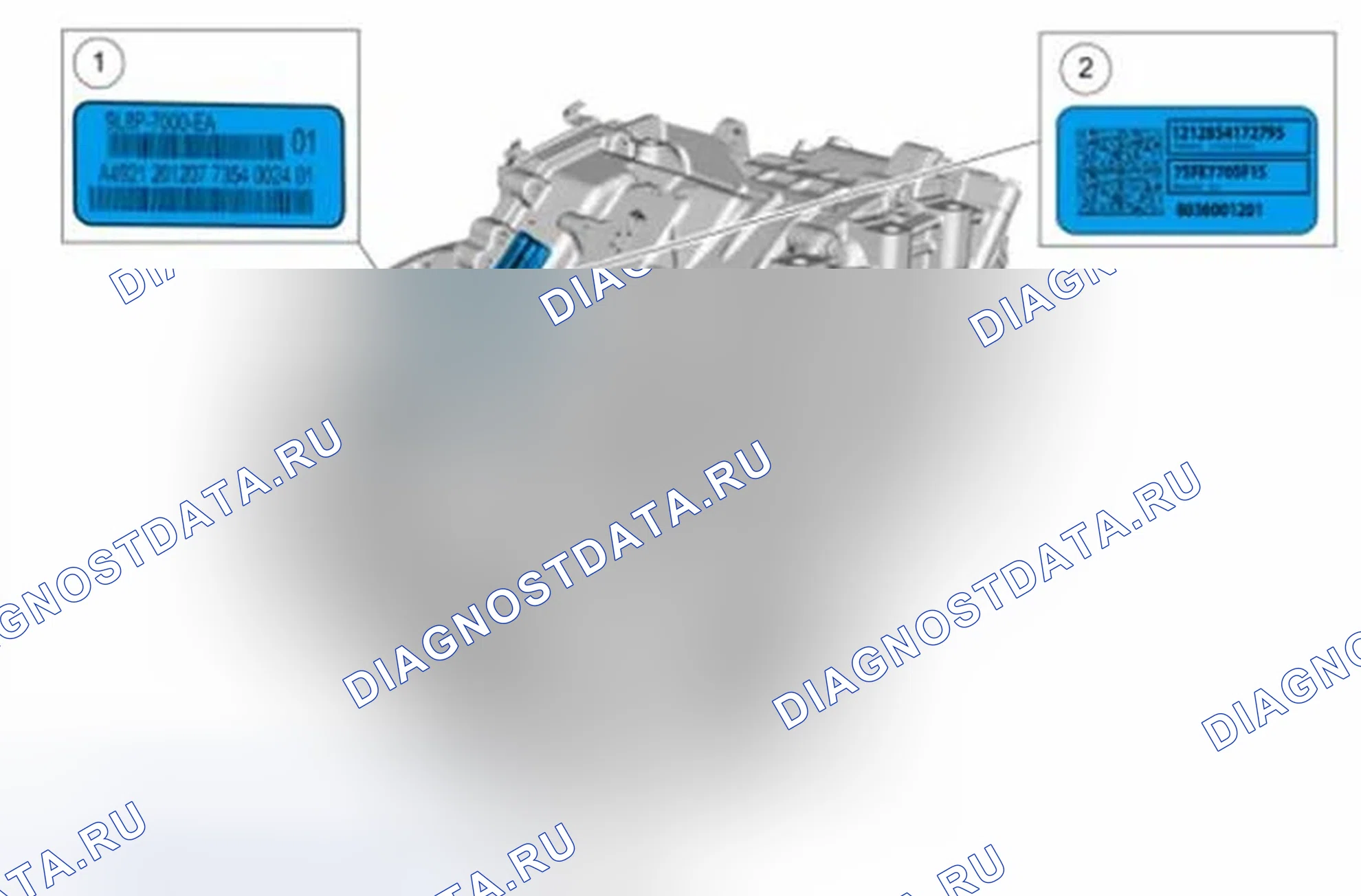 Рис. 2: Расположение идентификационной метки. Ford C-MAX II