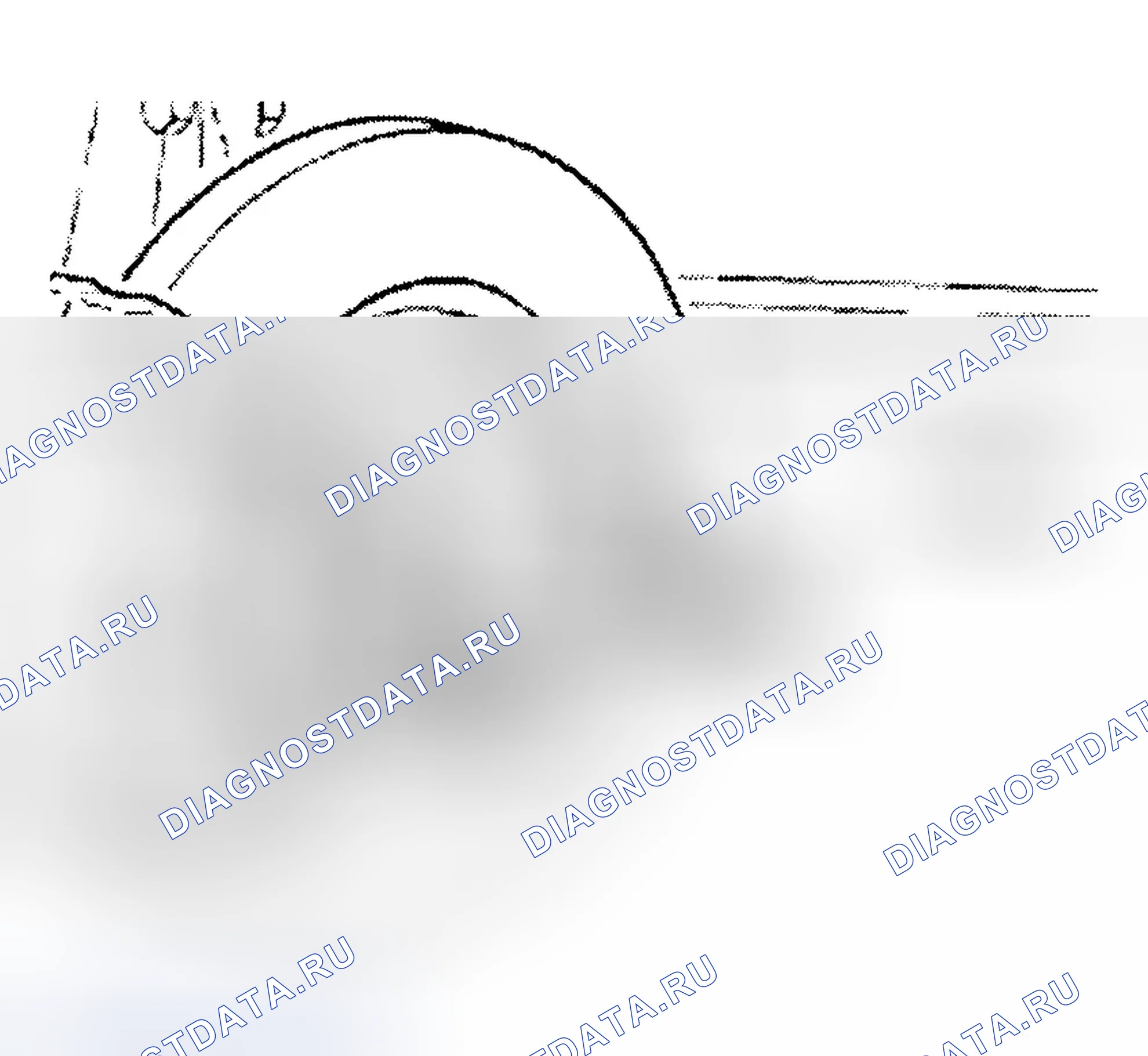 Рис. 4. Audi TT 8N