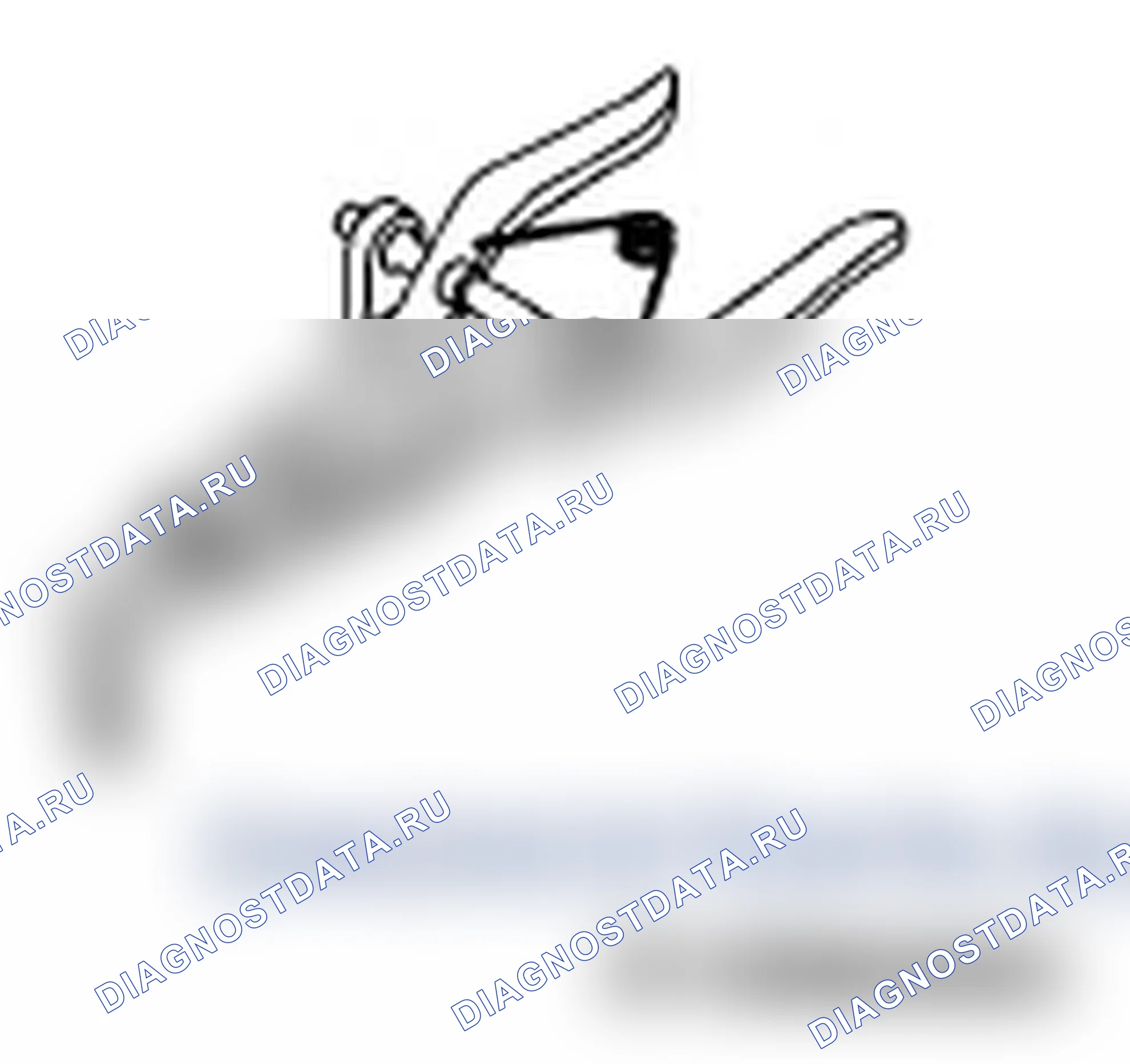 Рис. 304. Subaru Impreza WRX GH