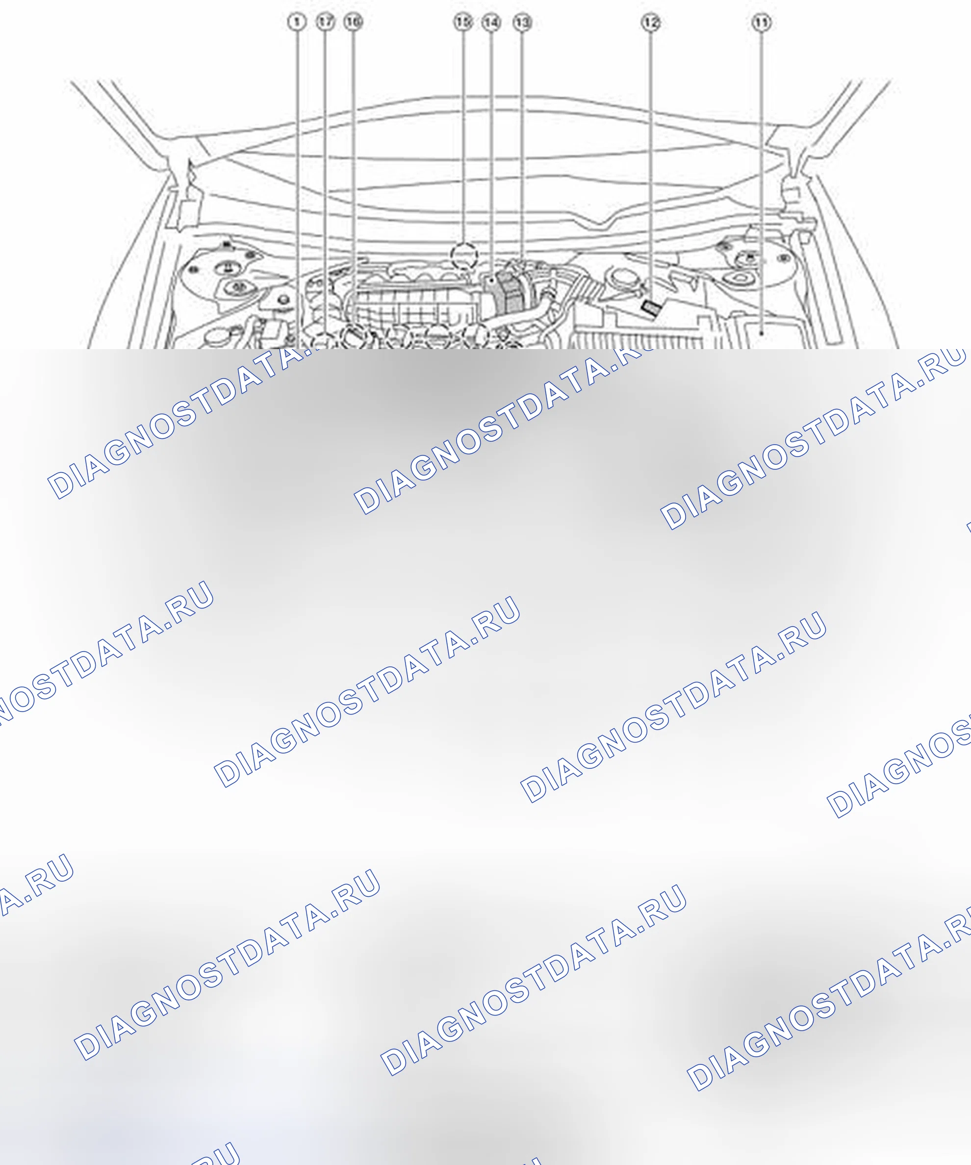 Рис. 170: Расположение компонентов. Nissan Altima L33