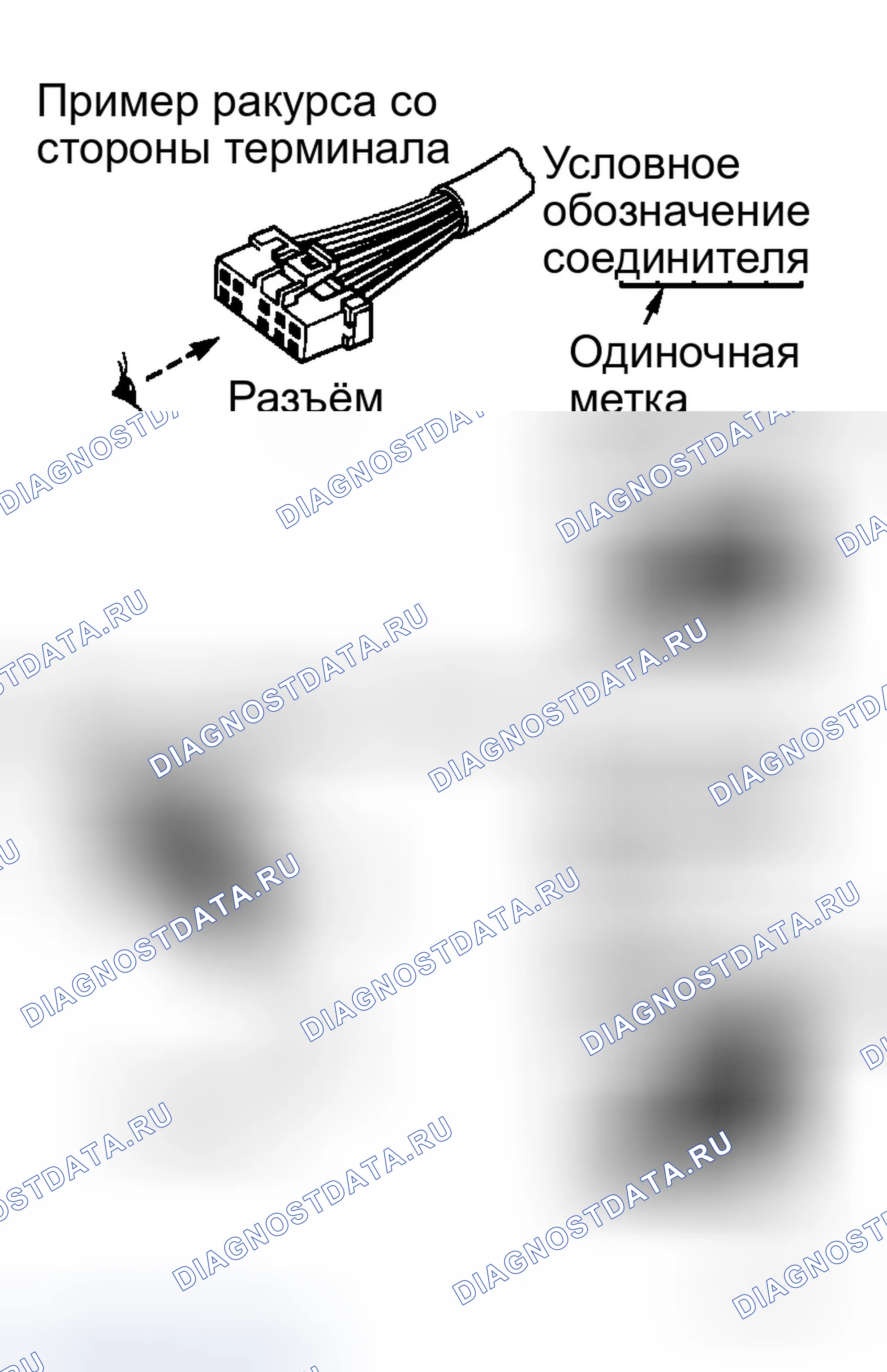 Рис. 36: ОБОЗНАЧЕНИЯ РАЗЪЕМОВ. Infiniti M45 III