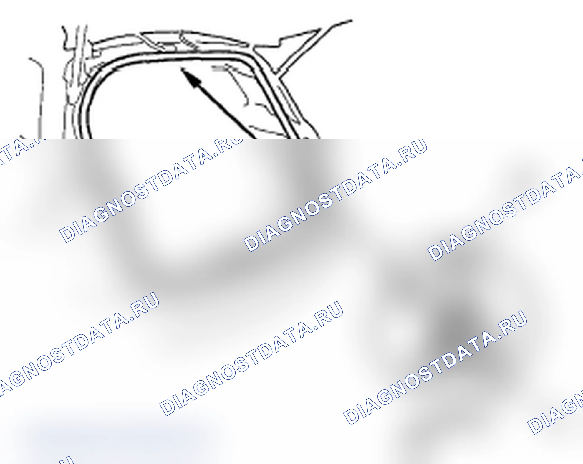 Рис. 111. Acura RDX I