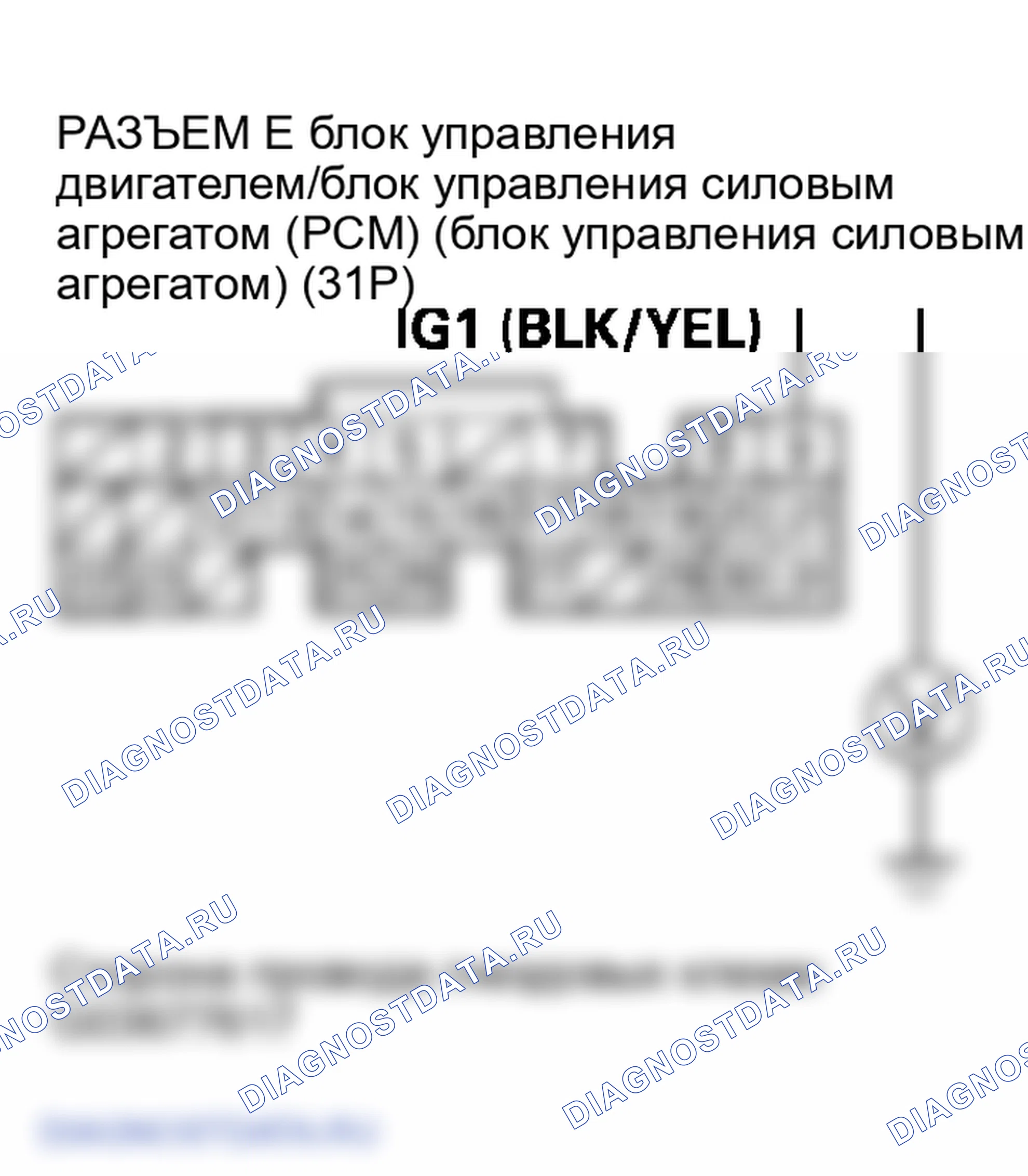 Рис. 20. Honda Element YH2