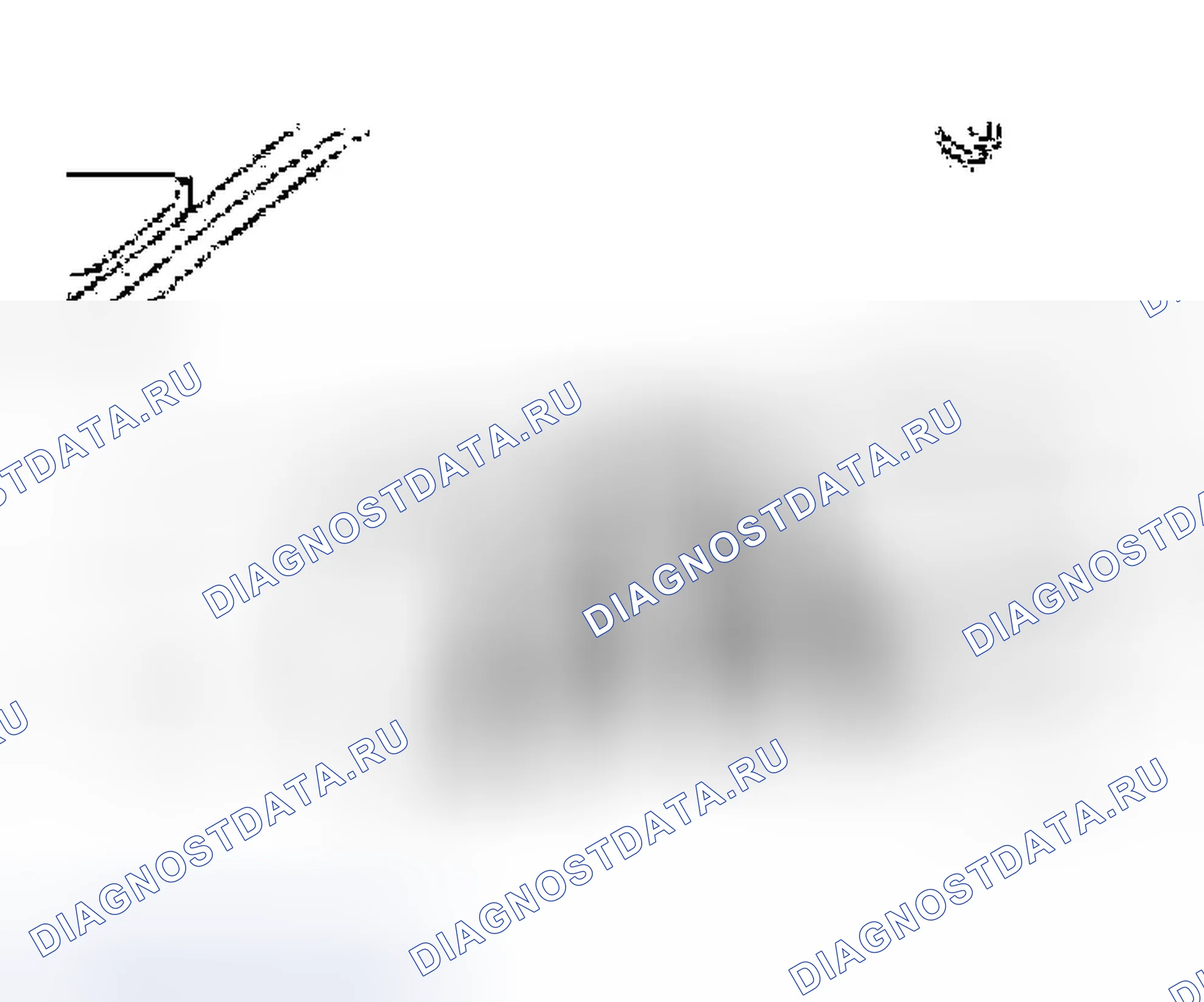 Рис. 44. Ford Focus I
