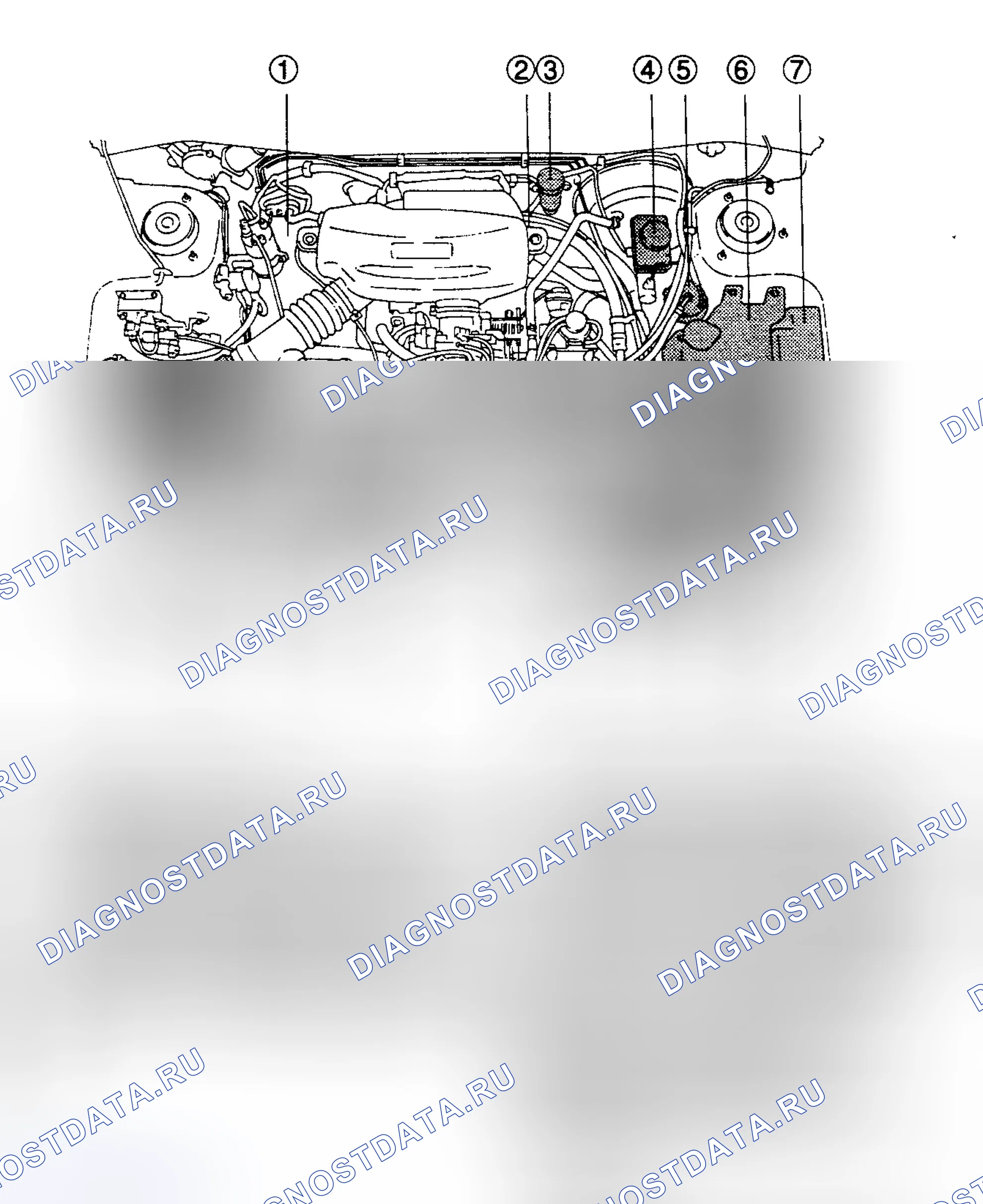 Рис. 3: РАСПОЛОЖЕНИЕ ТОЧЕК ОБСЛУЖИВАНИЯ. Honda XR-V I
