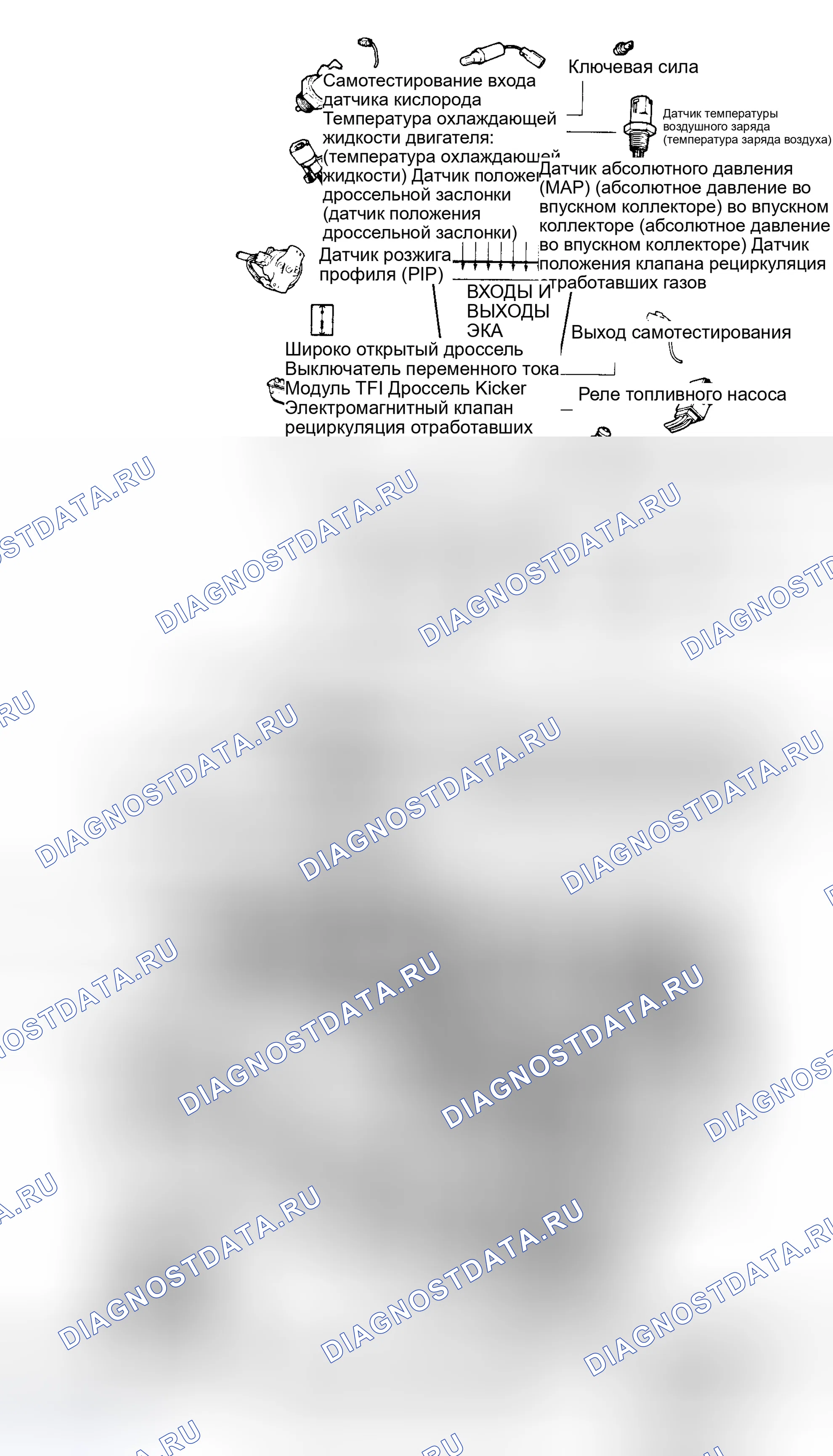 Рис. 139: 5.0L Входы/выходы CFI EEC-IV и расположение компонентов. Ford Thunderbird IX