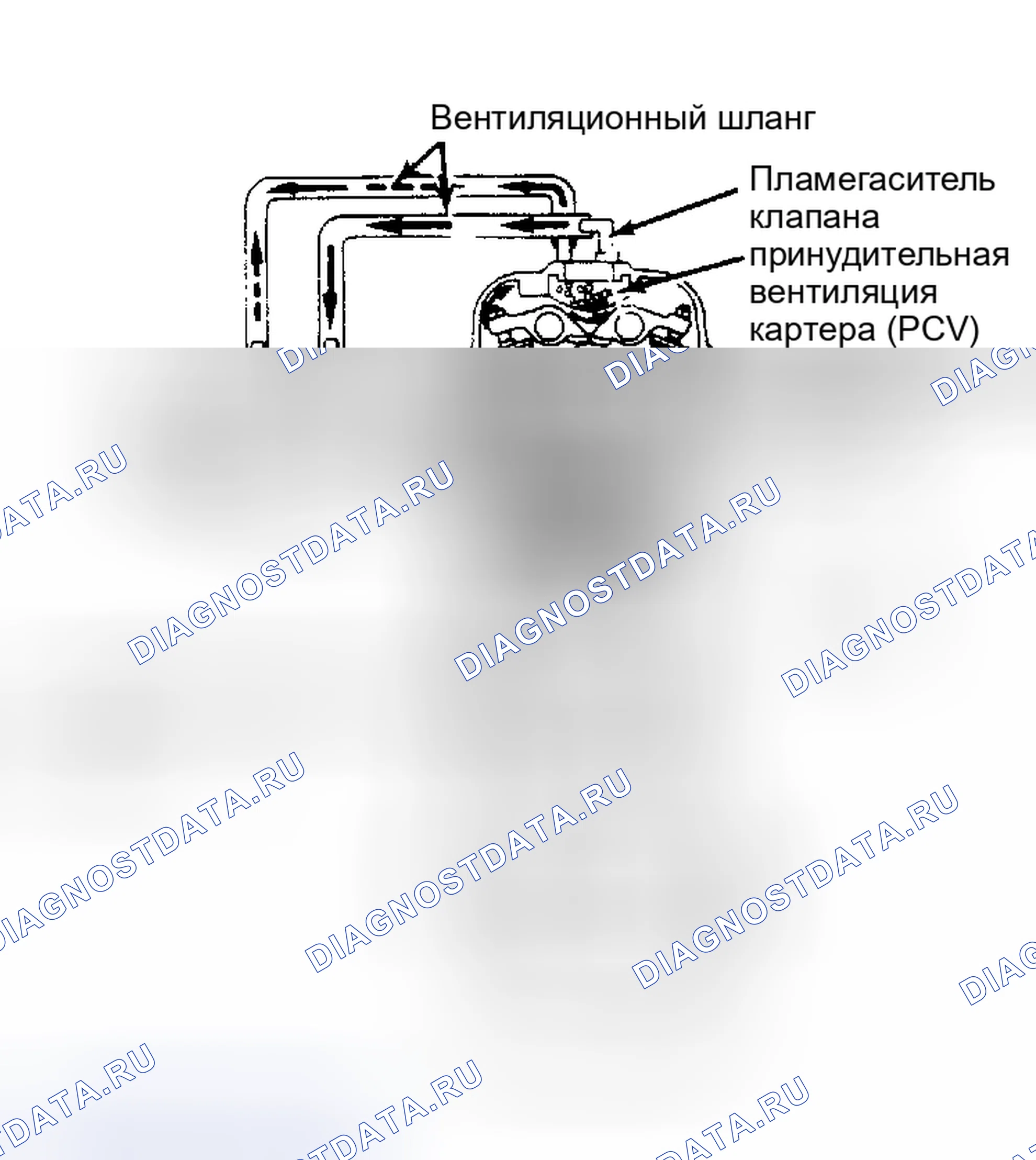 Рис. 6: Система вентиляции картера (Celica). Toyota Celica A60