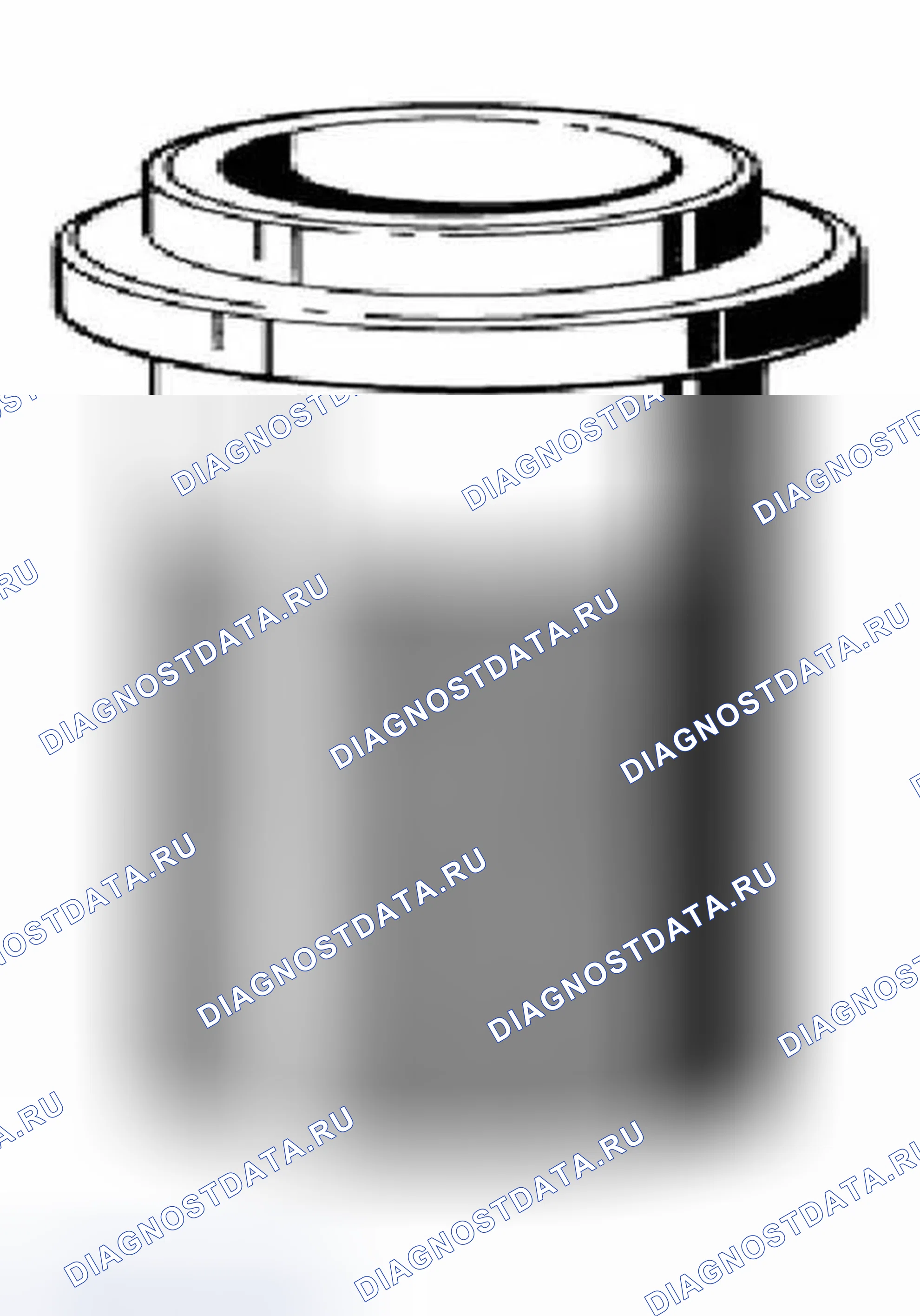 Рис. 498: 24 0 090 Дрейф. BMW X5 E53