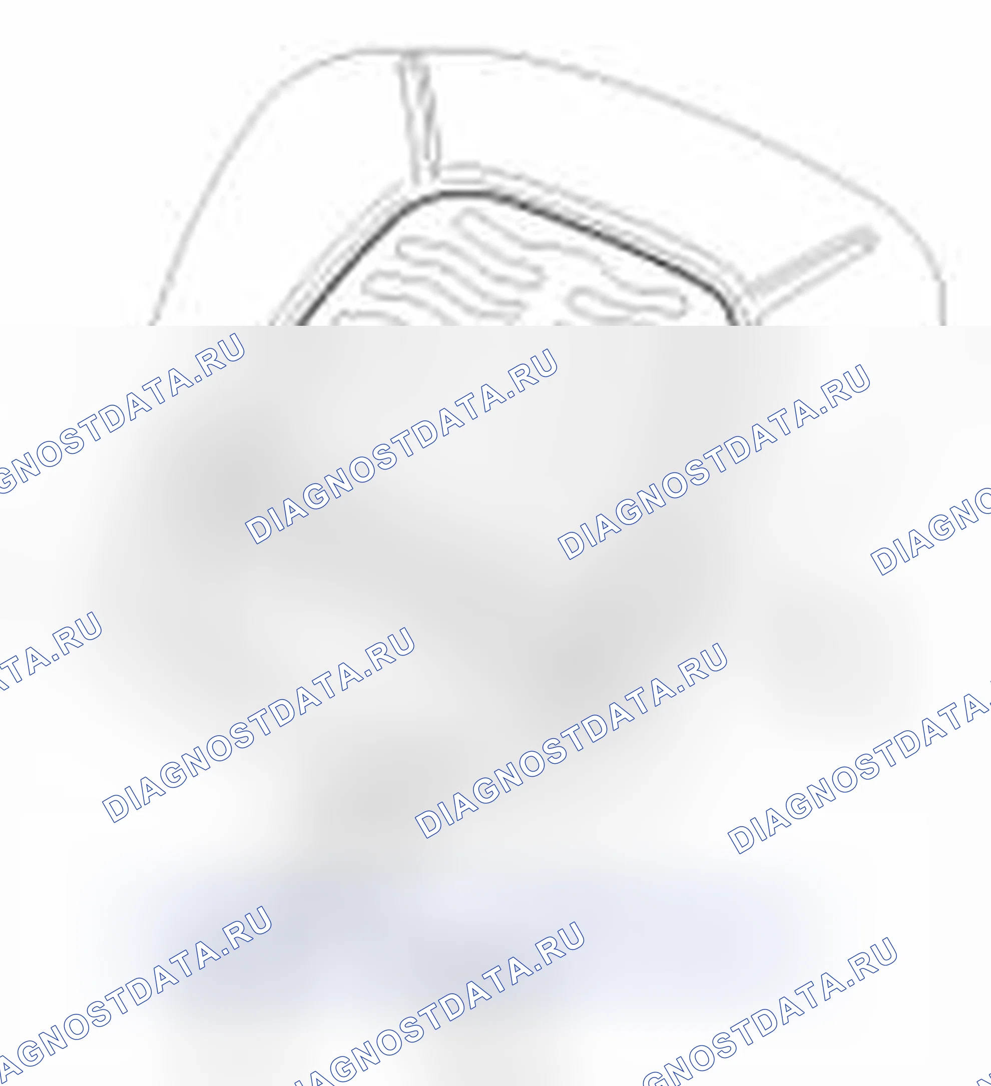 Рис. 84. Haval Beast (Shenshou) I