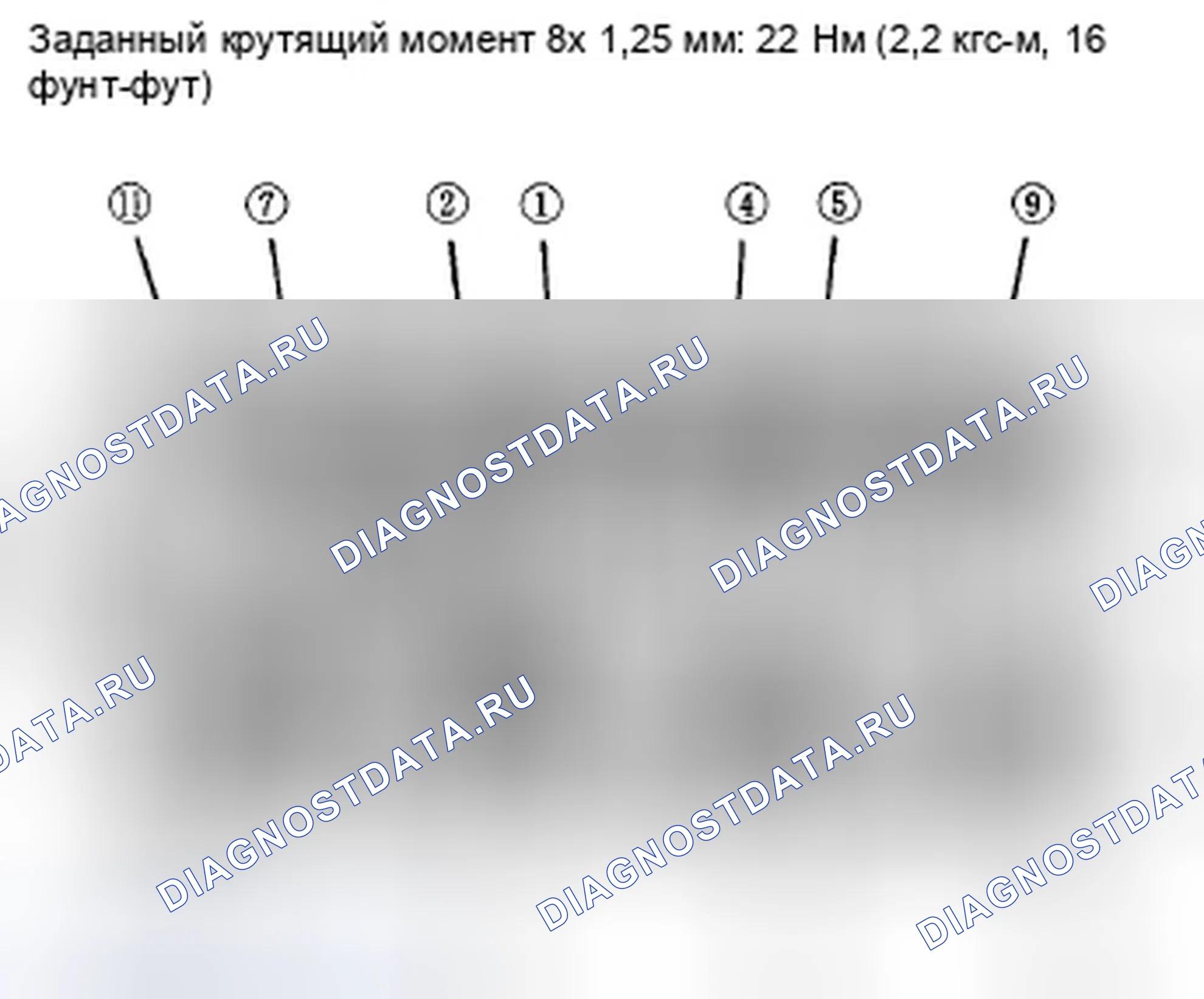 Рис. 135. Honda Crosstour I