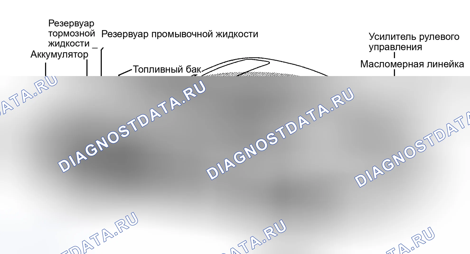 Рис. 2: РАСПОЛОЖЕНИЕ ТОЧЕК ОБСЛУЖИВАНИЯ. Porsche 911 Carrera 4 996
