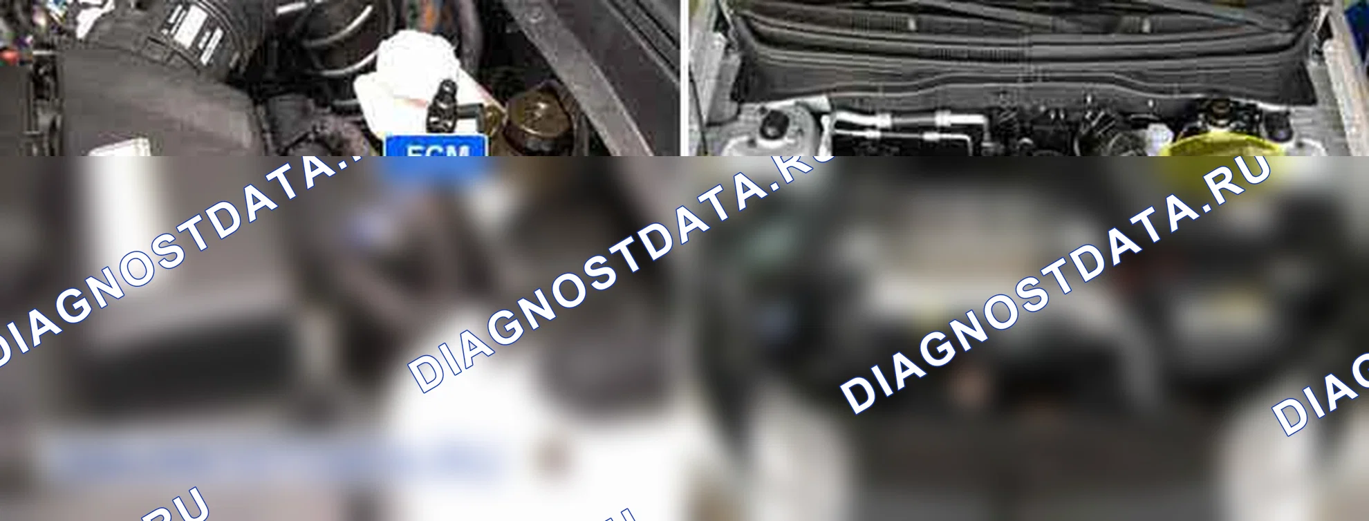P1586: Кодировка MT/AT. Kia Sportage KM