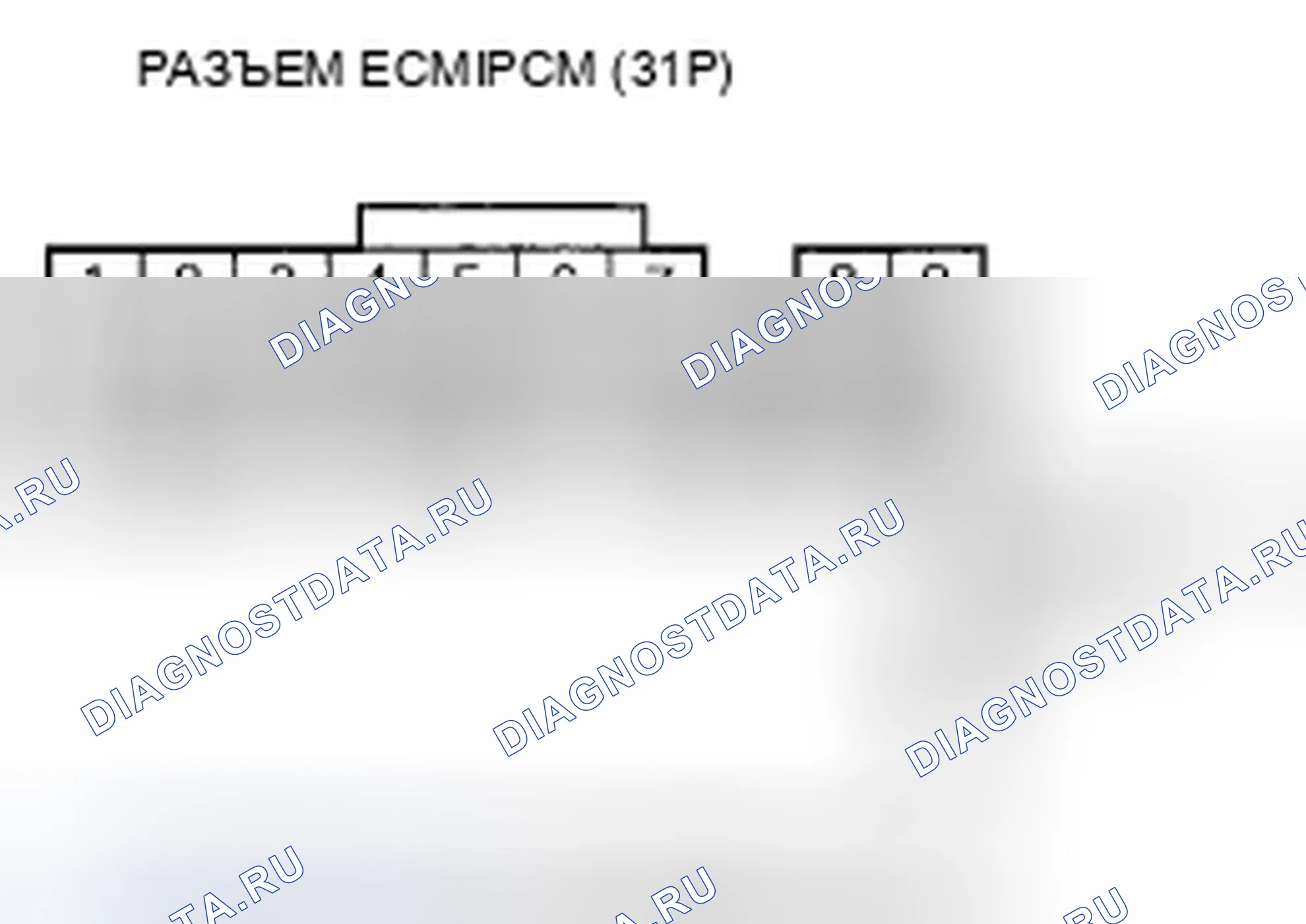 Рис. 460. Honda Element YH2 рестайлинг