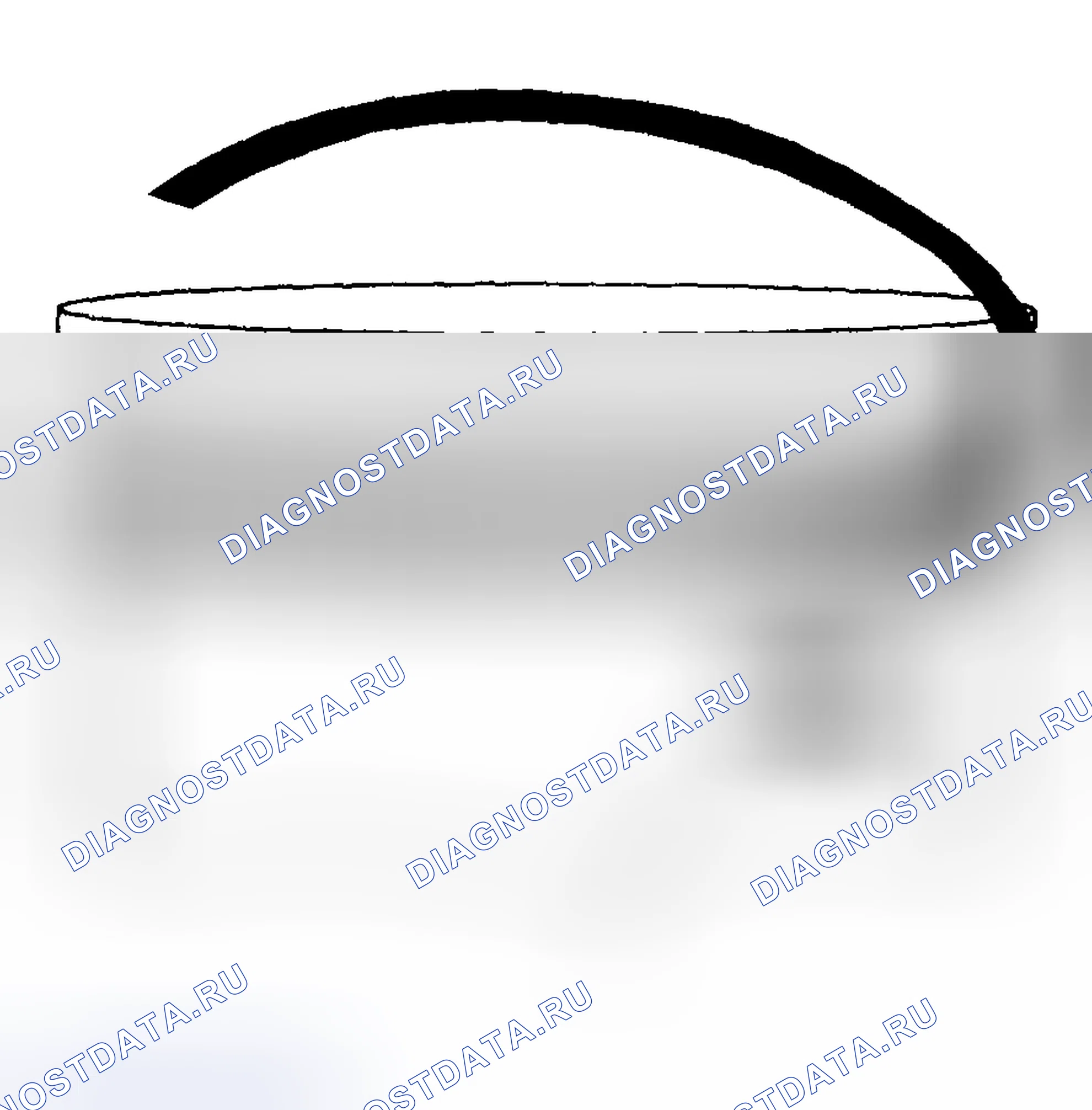 Рис. 1607. Hyundai Terracan I