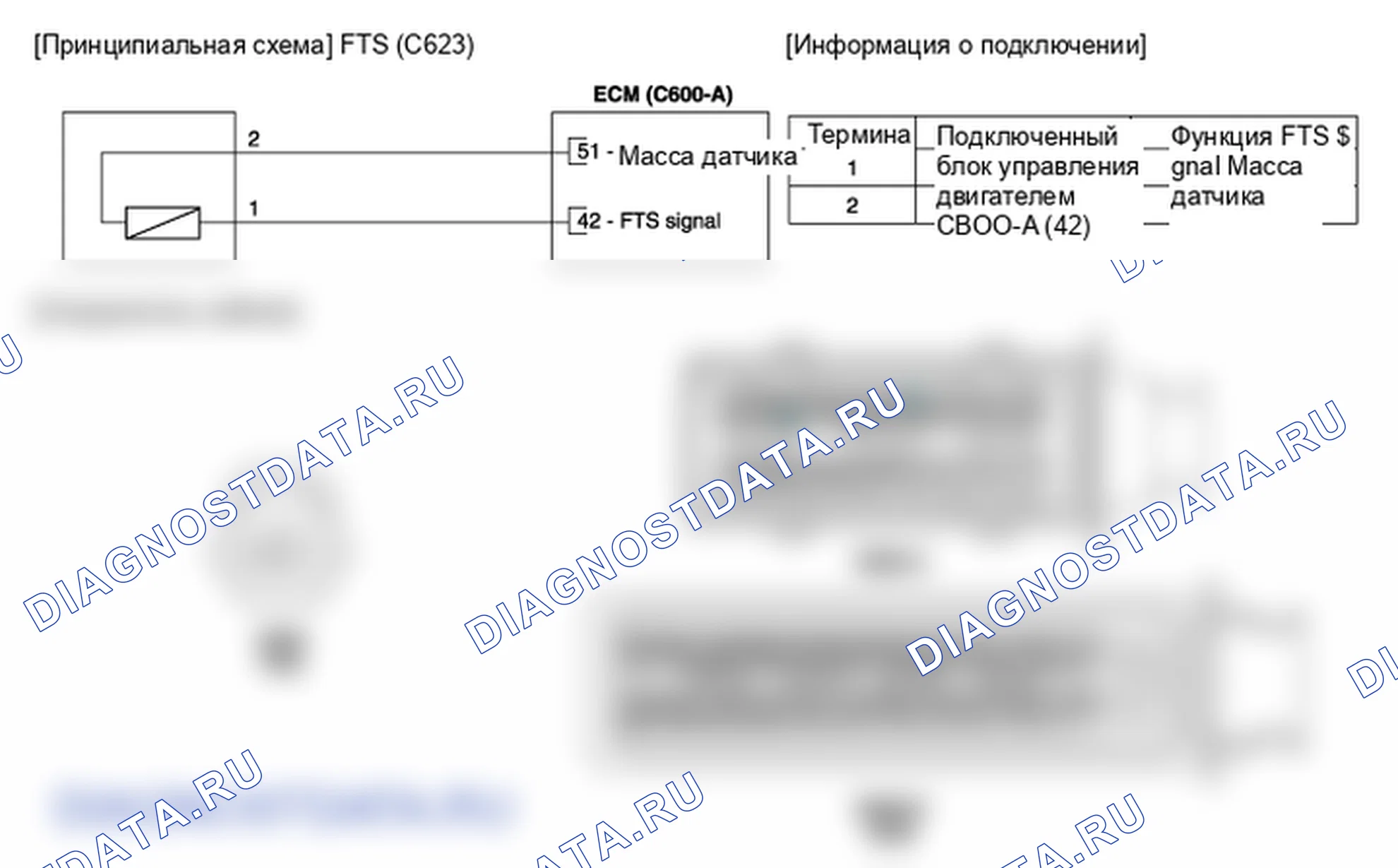 Фрагмент электросхемы: Датчик температуры топлива (FTS). Hyundai ix35 EL