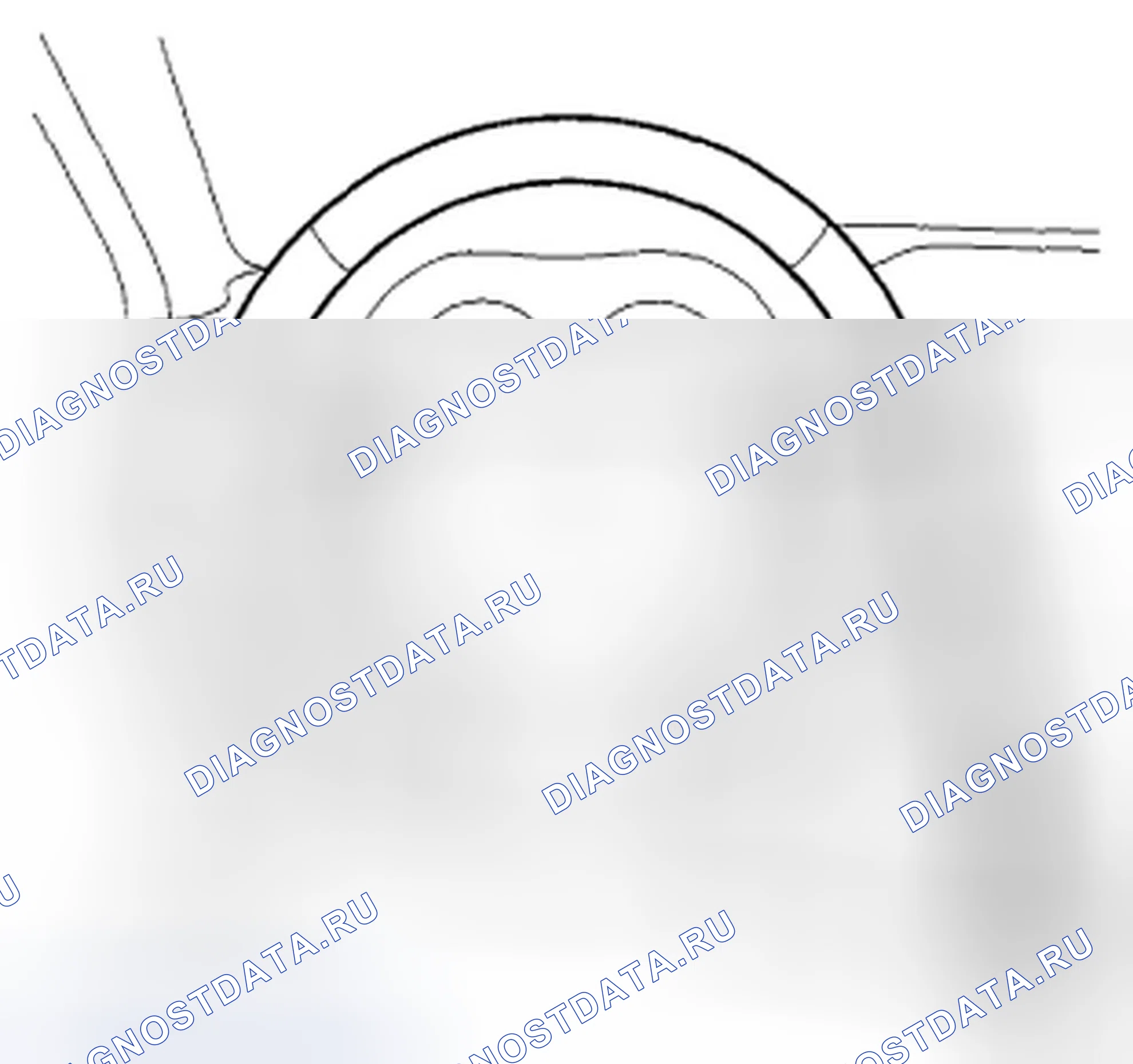 Рис. 32: Проверка питание ассистент. Acura TSX II