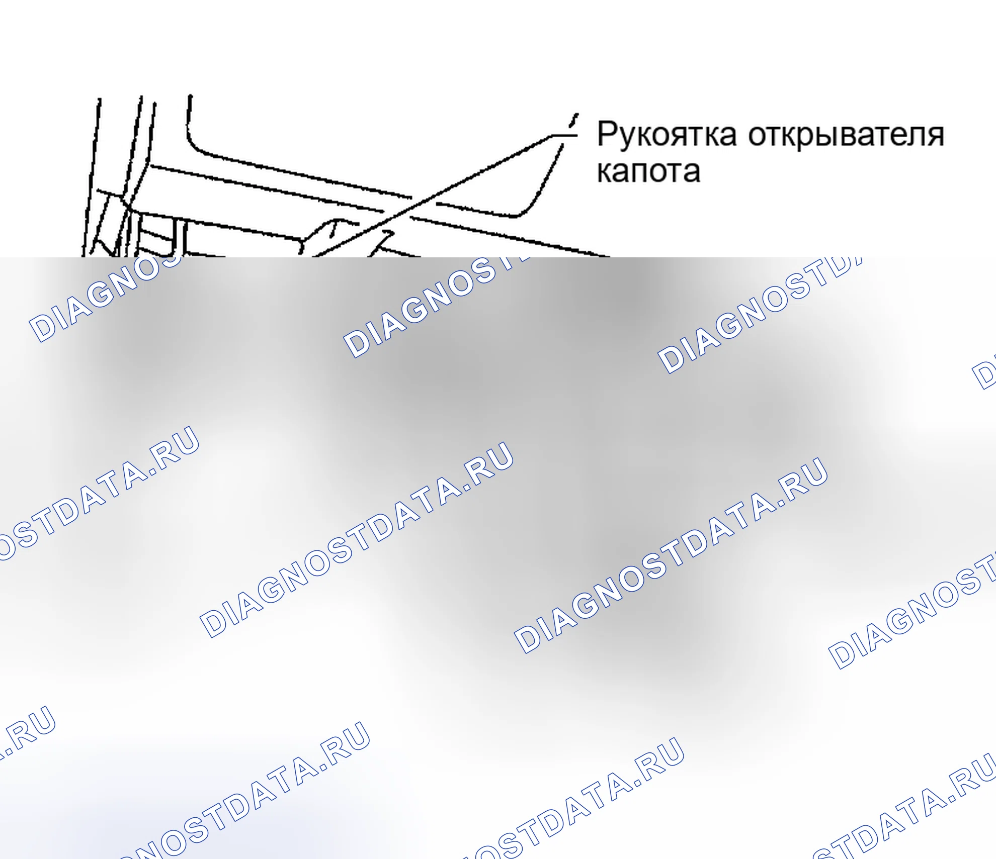 Рис. 10. Nissan Altima L31