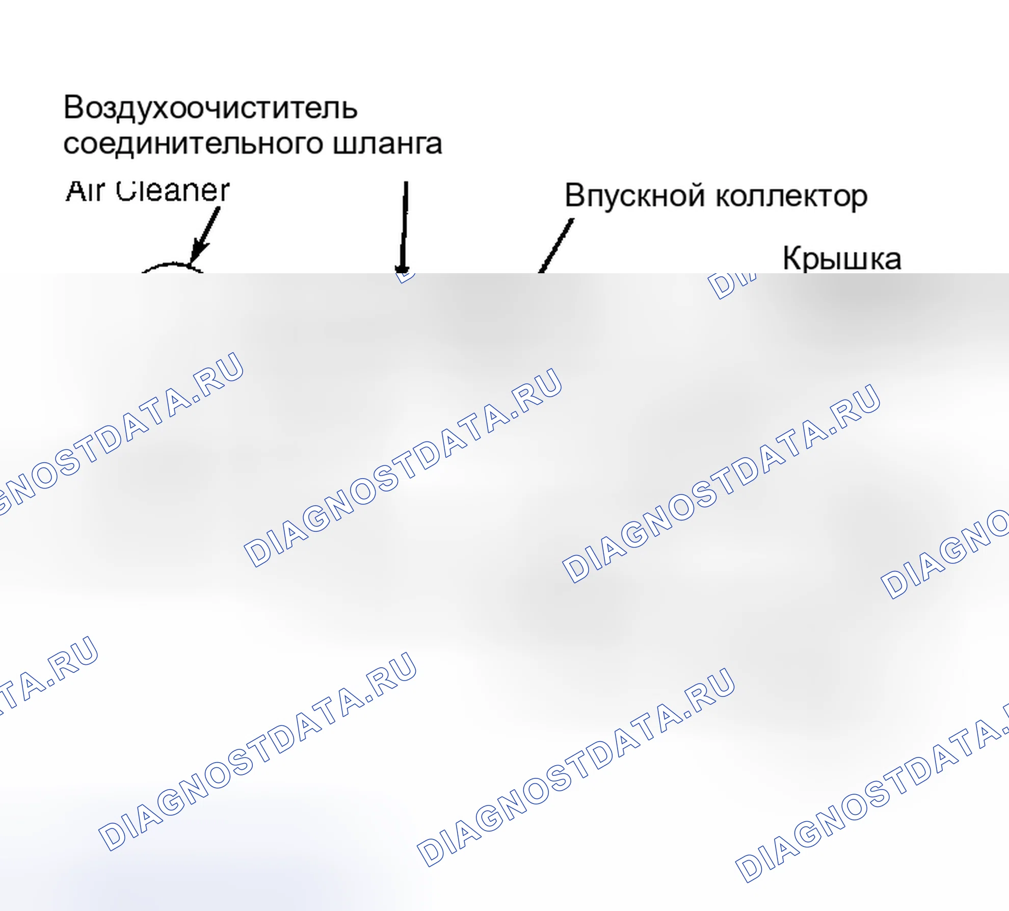 Рис. 1: Система вентиляции картера (типовая). Volkswagen Scirocco II