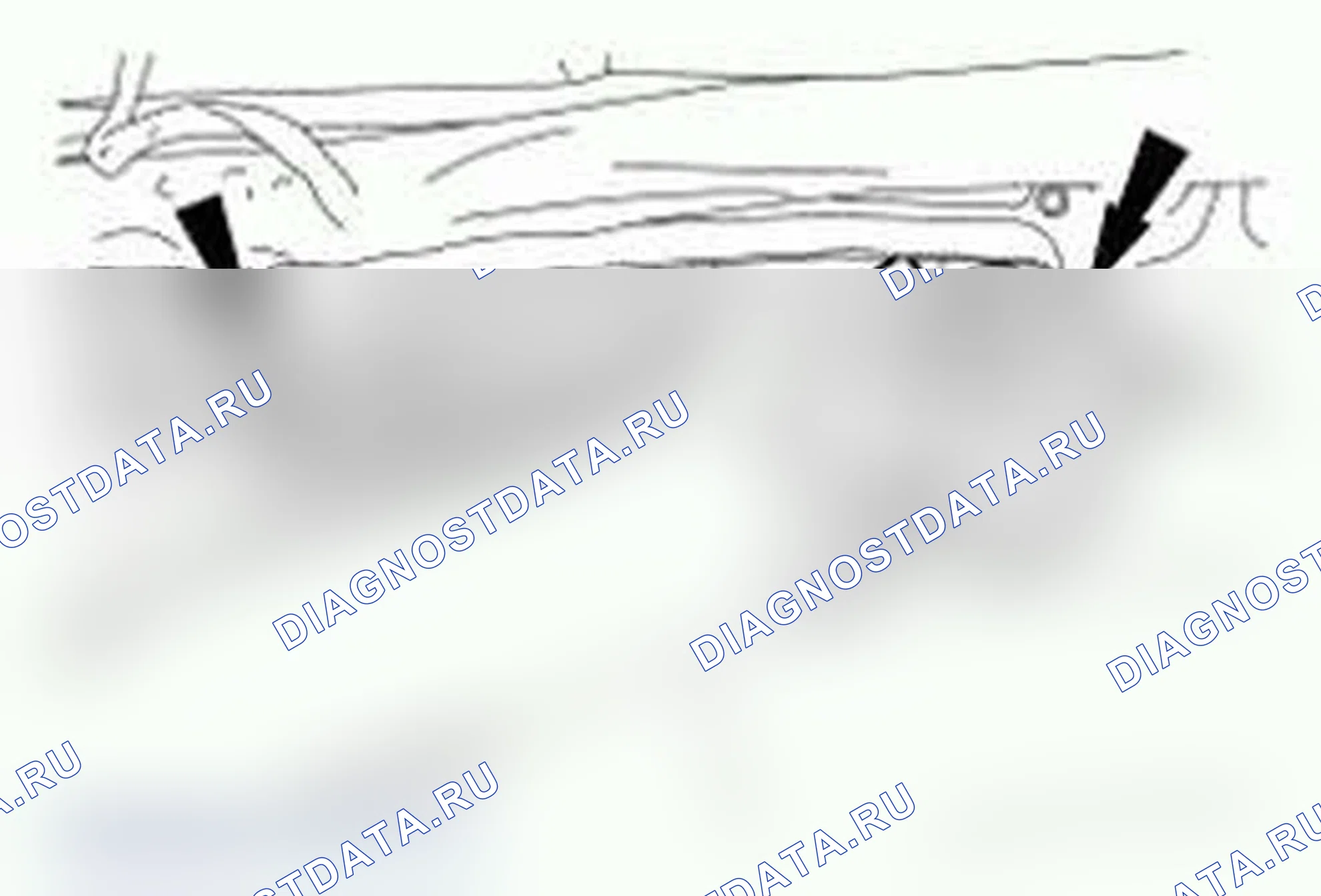 Рис. 24. Ford Cutaway E350 Super Duty 