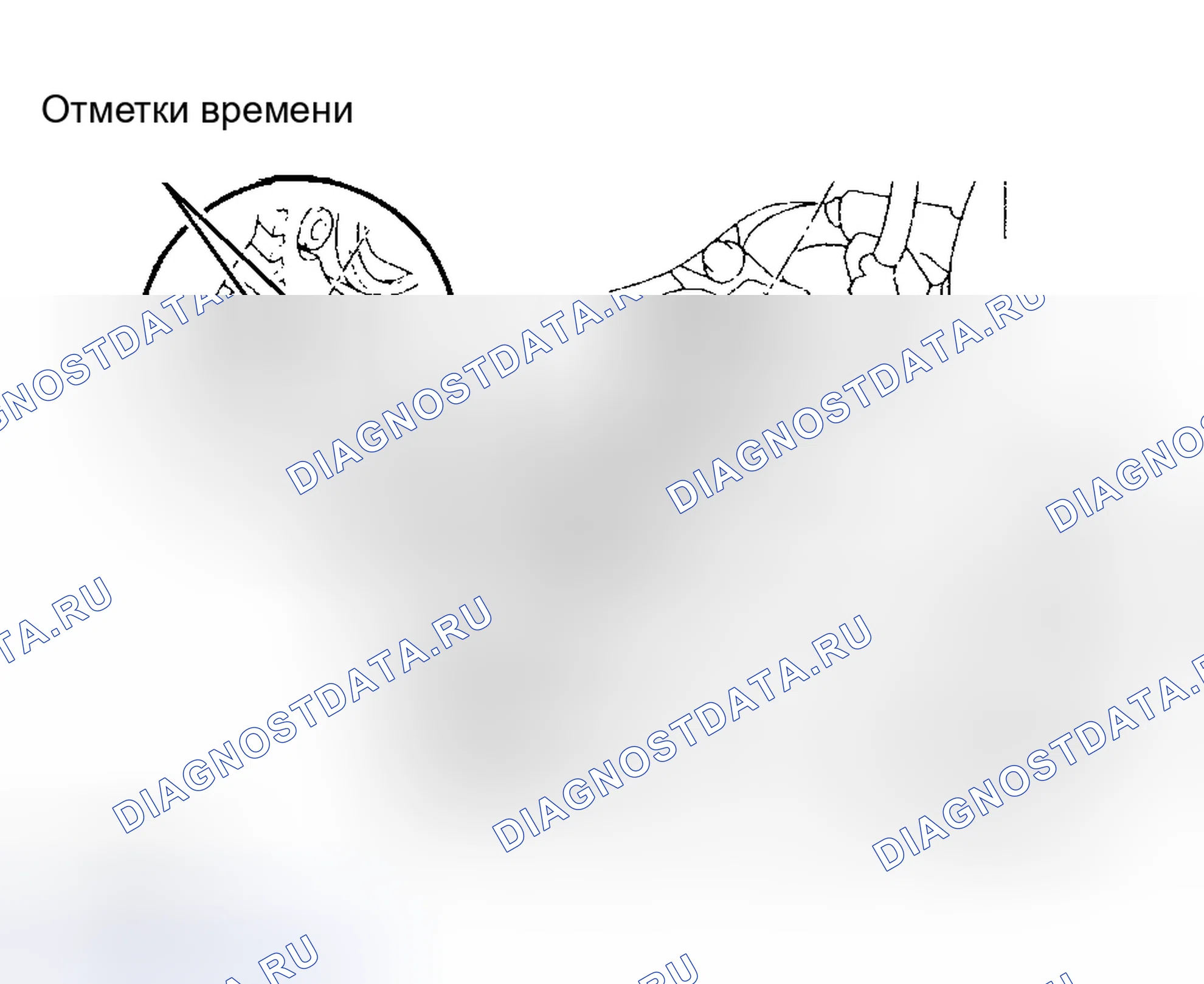 Рис. 2. Honda Accord II