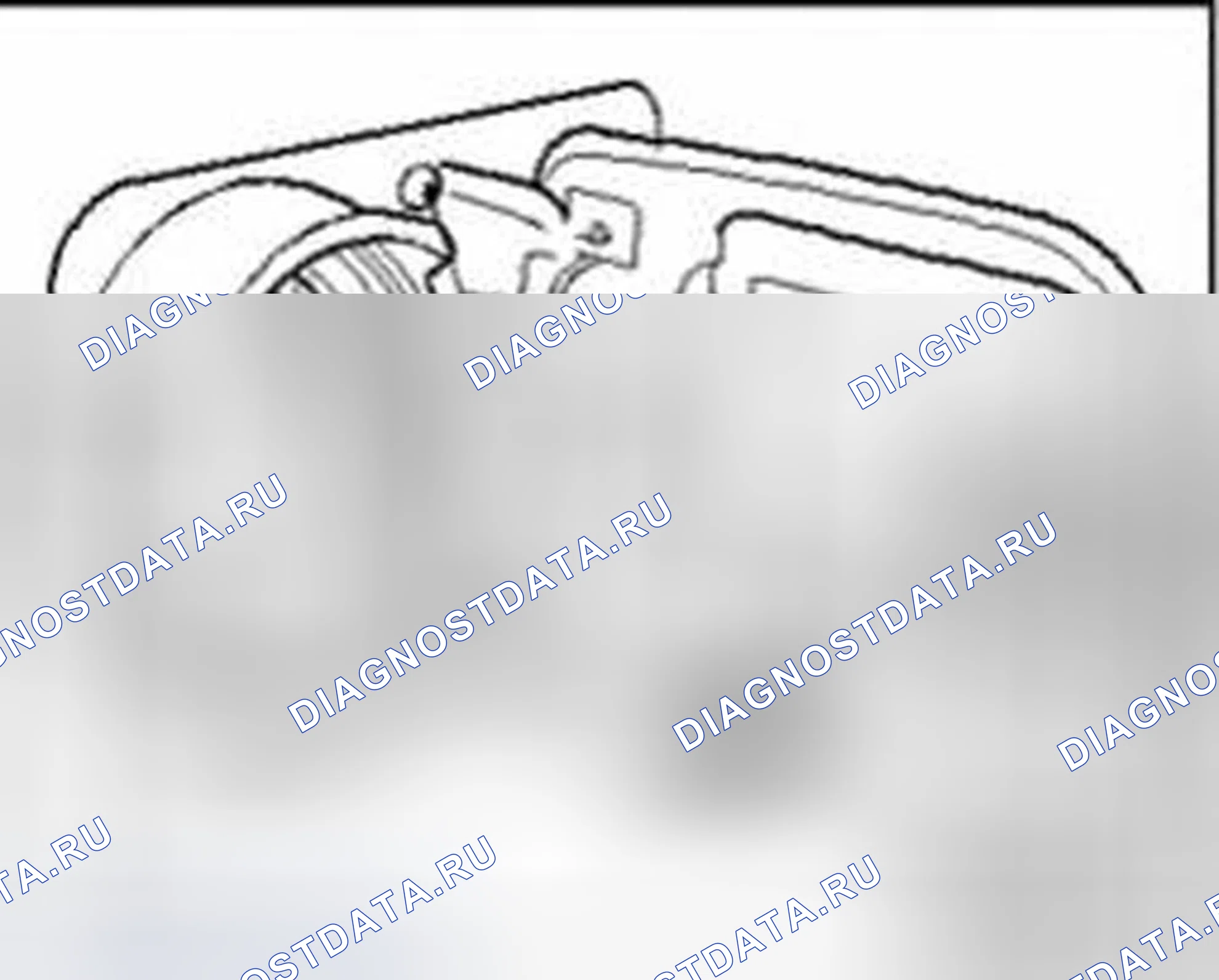 Рис. 34: Давление в шинах, регулировка. Audi S8 D3 рестайлинг