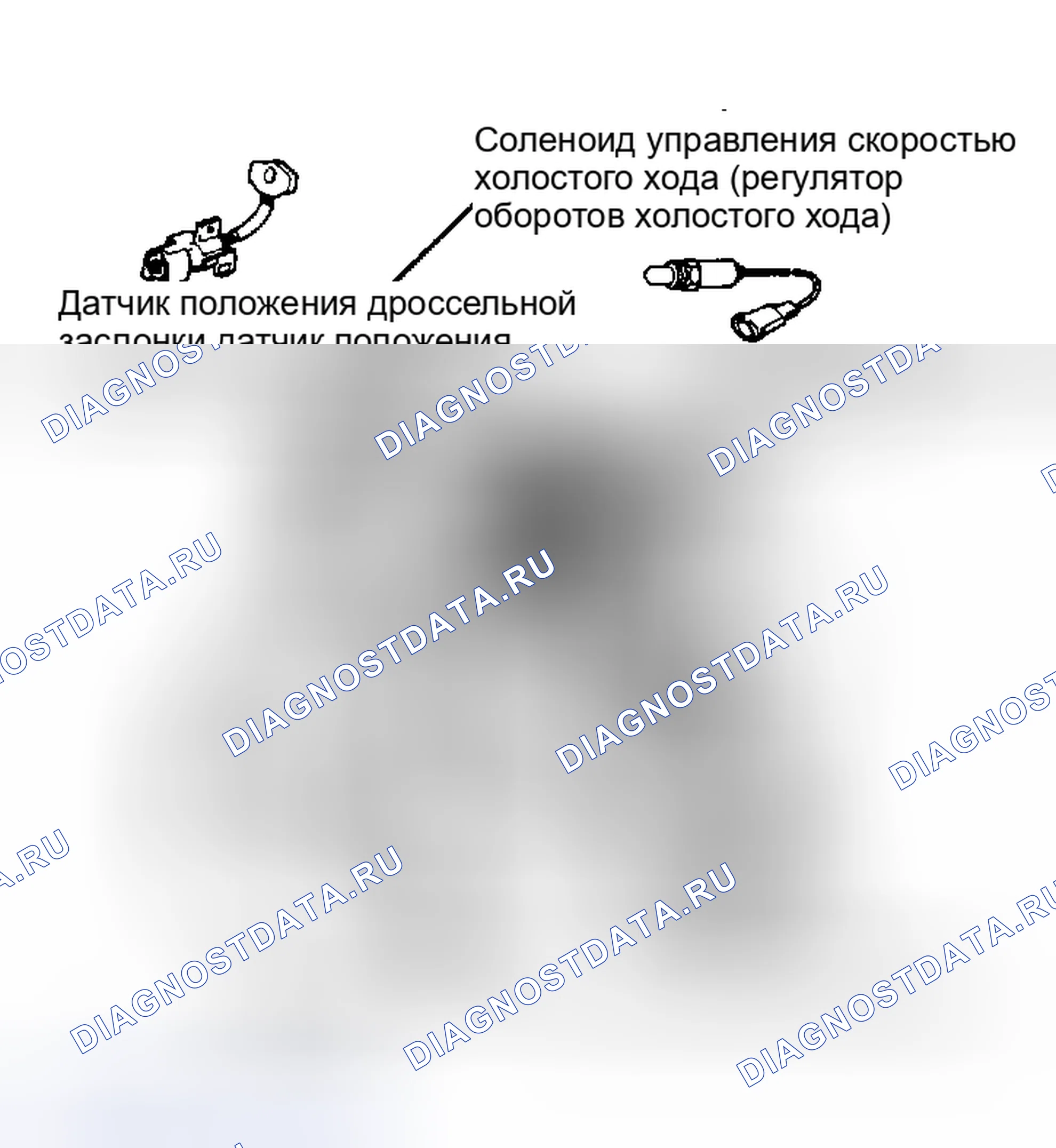 Рис. 6: 1.6L двигатель с многоточечной системой впрыска. Ford Escort III