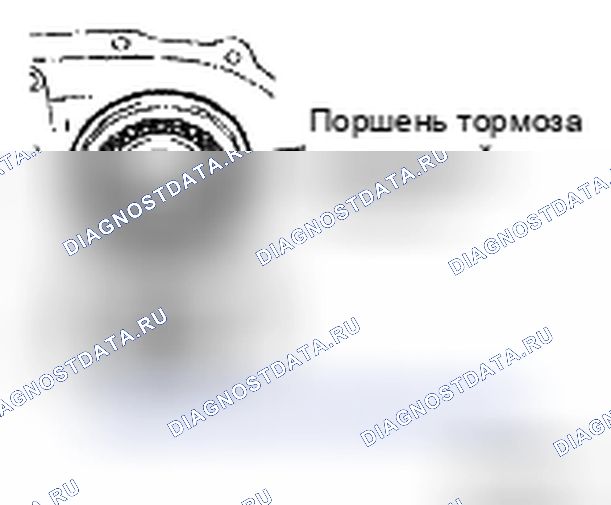 Рис. 335. Toyota Camry XV40