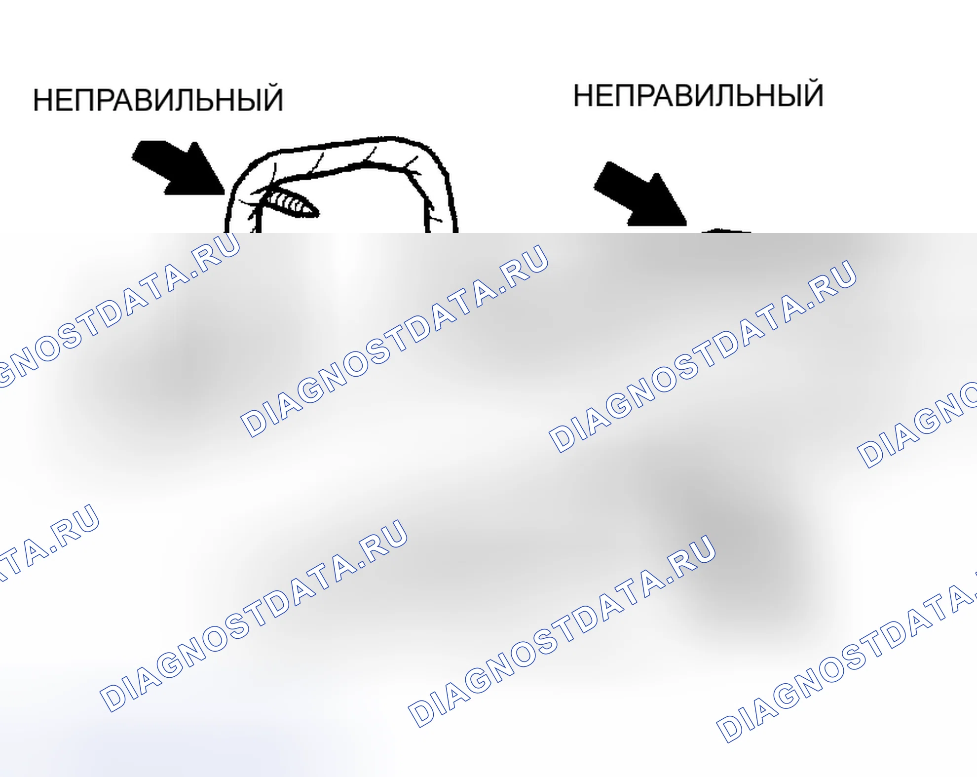 Рис. 43. Scion xB I