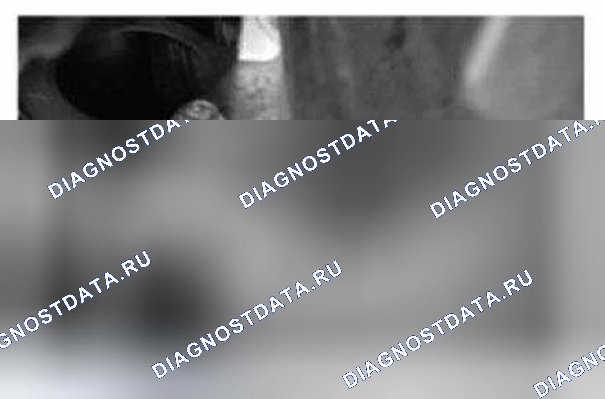 Рис. 758. Ford Mustang V рестайлинг