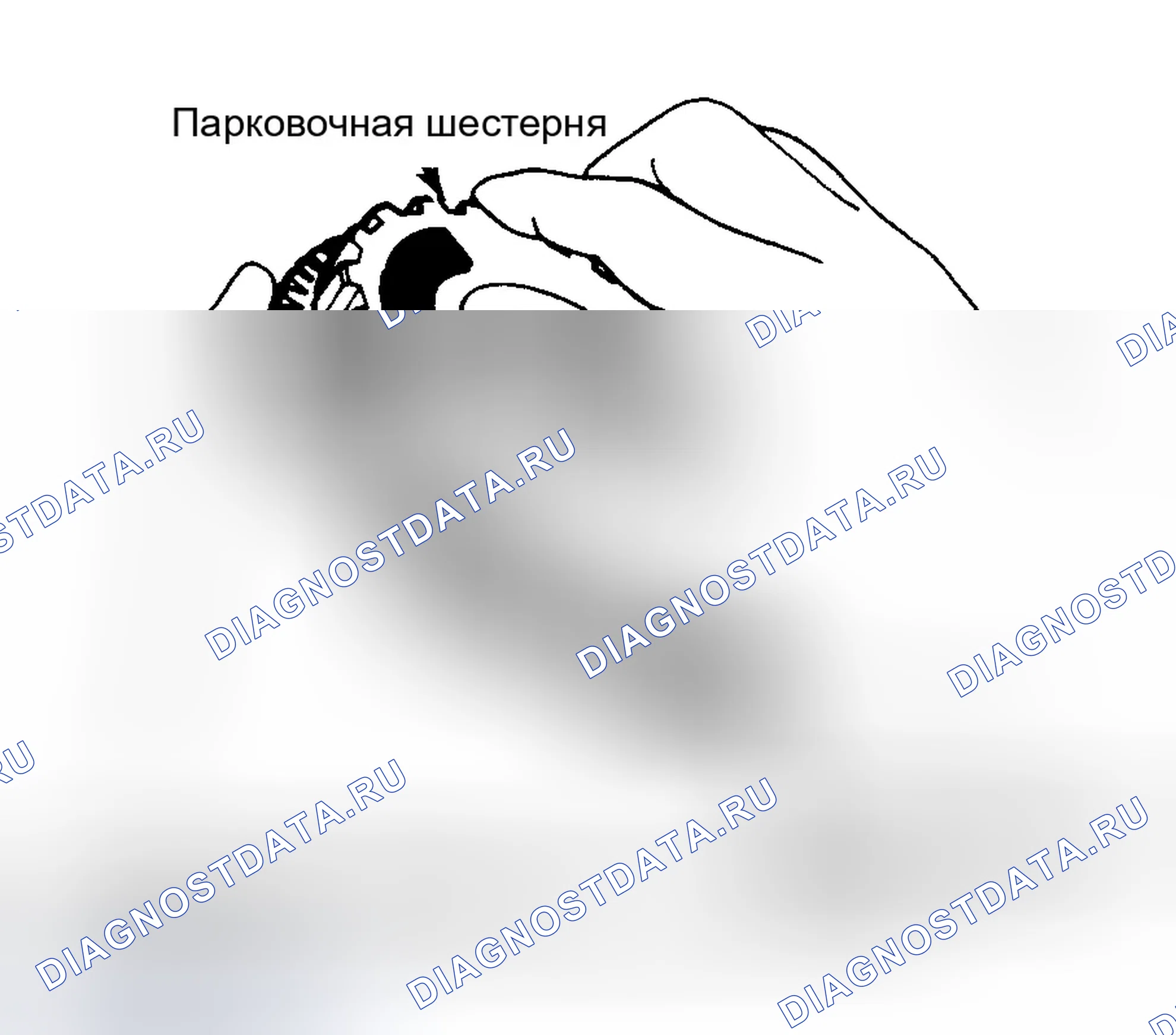 Рис. 3: Разборка и проверка. Honda Accord III