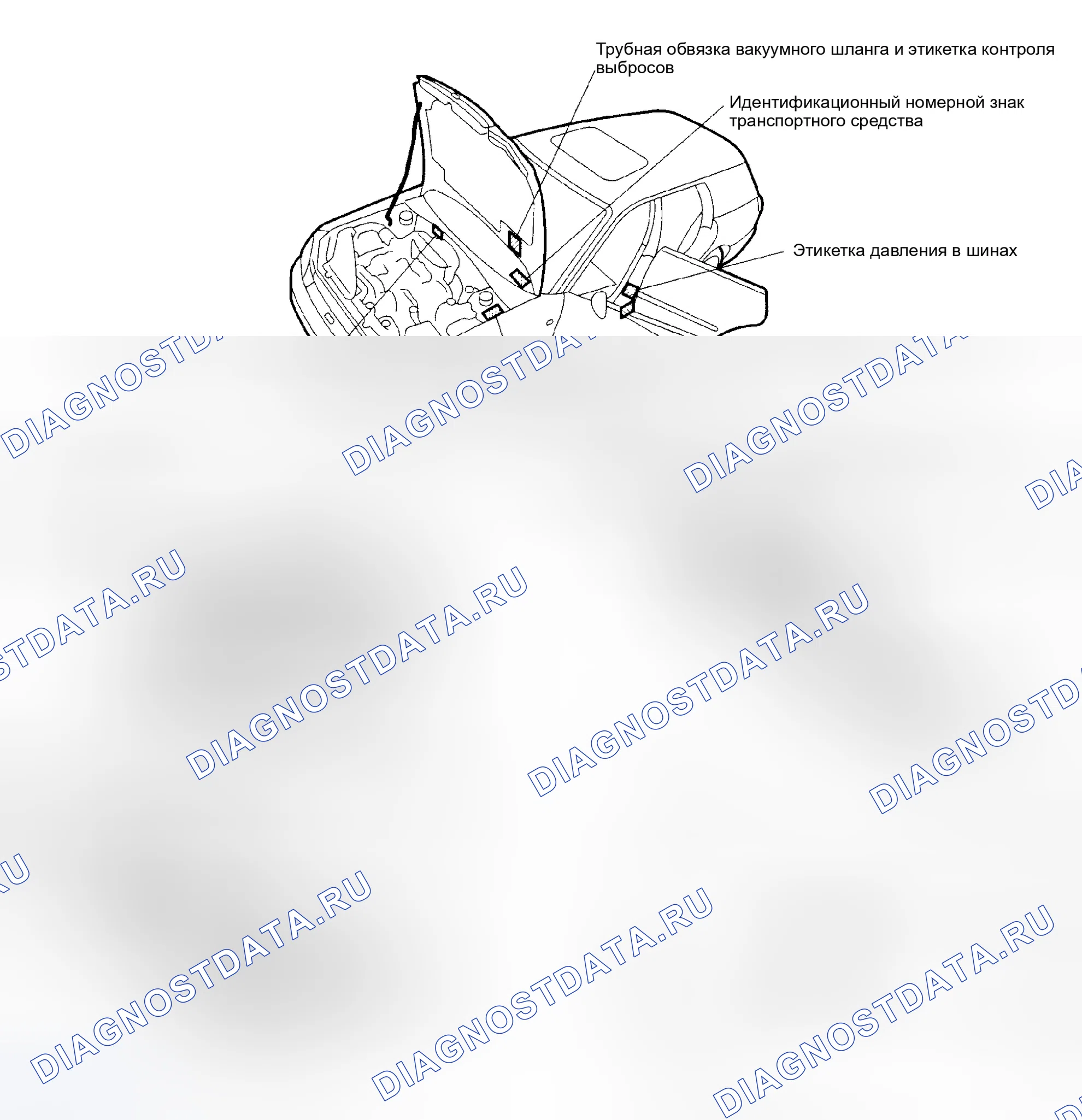 Рис. 1: ИДЕНТИФИКАЦИОННЫЕ НОМЕРА И РАСПОЛОЖЕНИЕ ЭТИКЕТОК. Subaru Impreza GD/GC/GG рестайлинг
