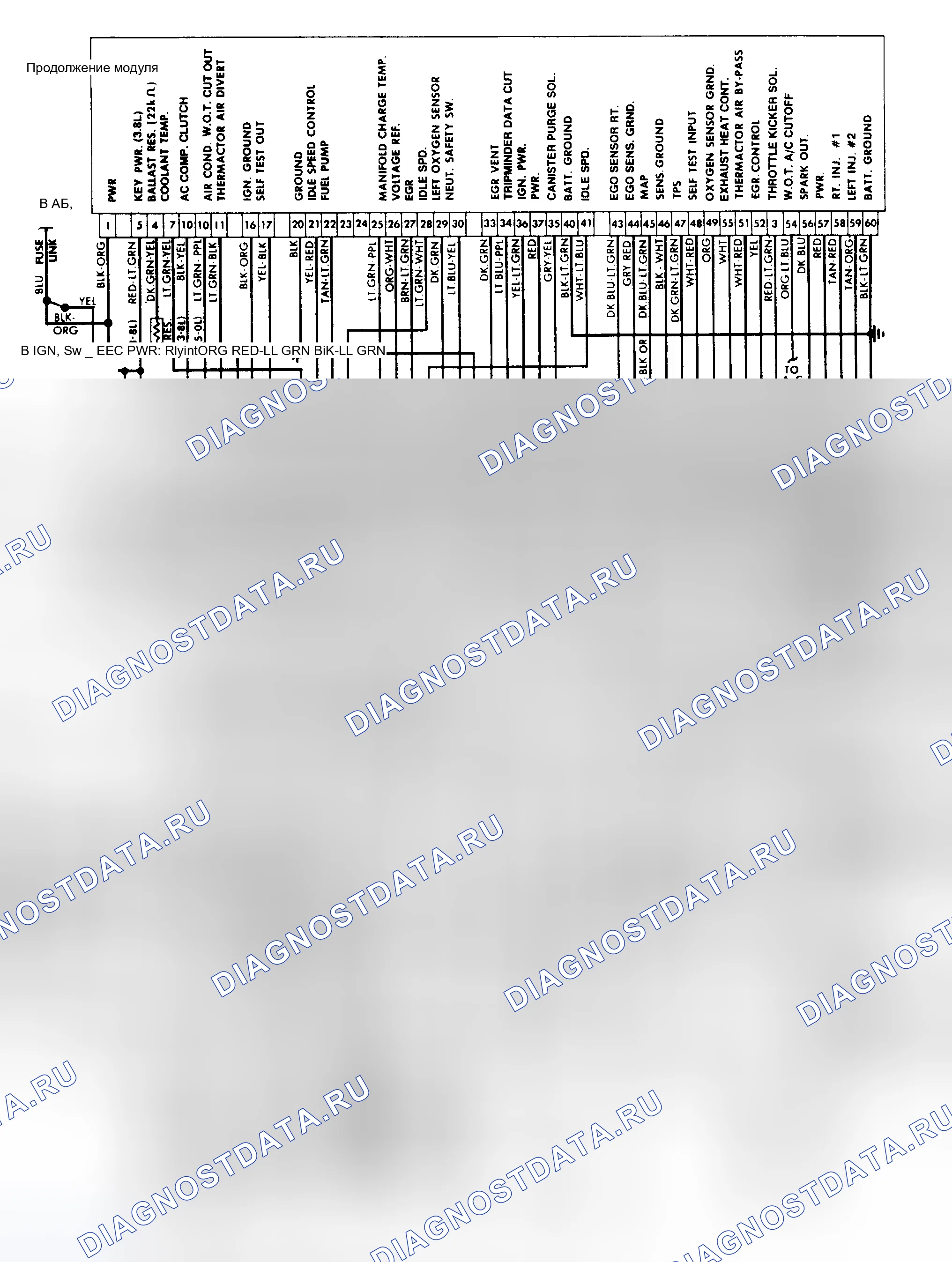 Рис. 100: 3.8L Схема подключения CFI EEC-IV. Ford Thunderbird IX