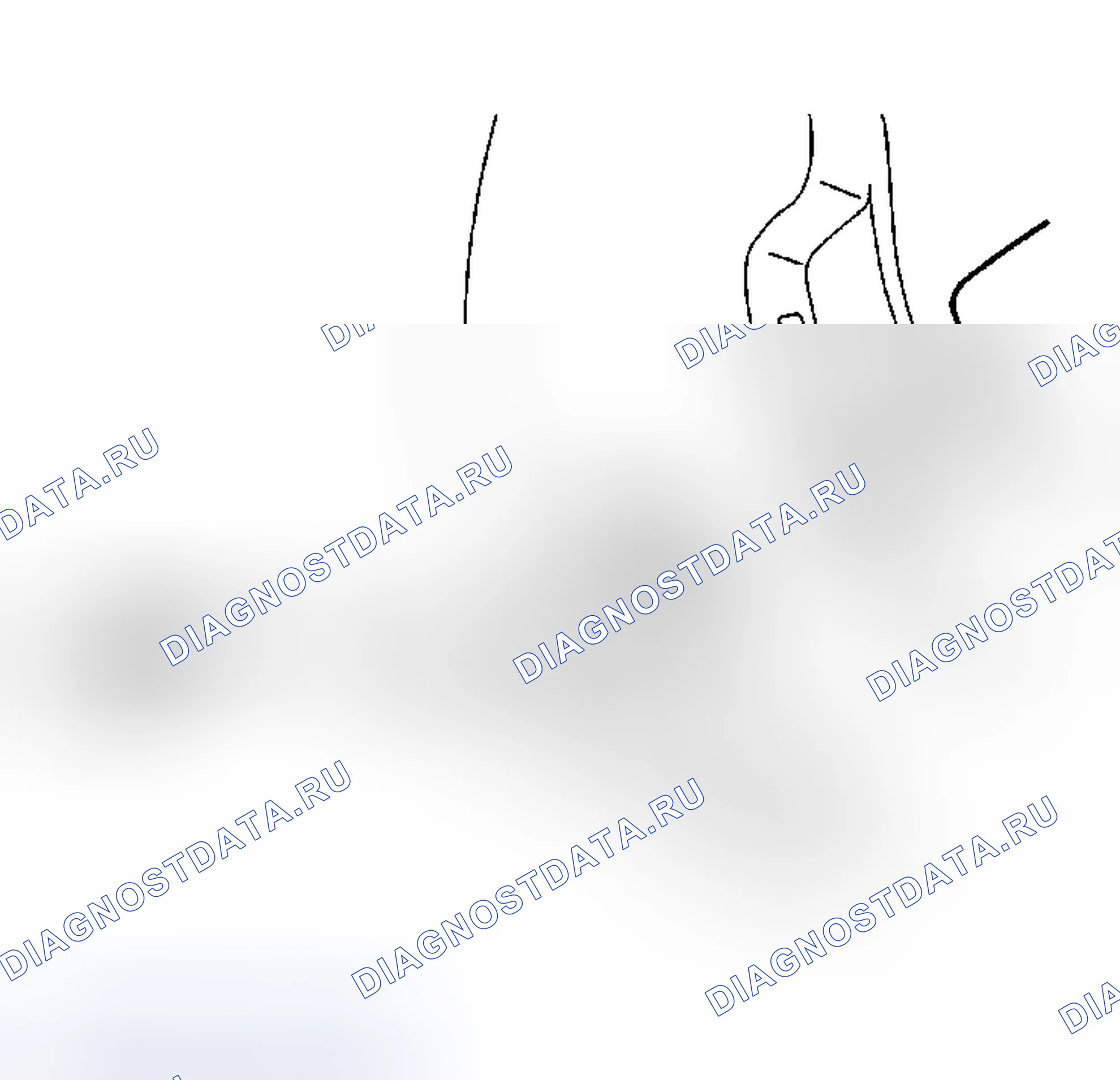 Рис. 347. Haval Xiaolong Max I